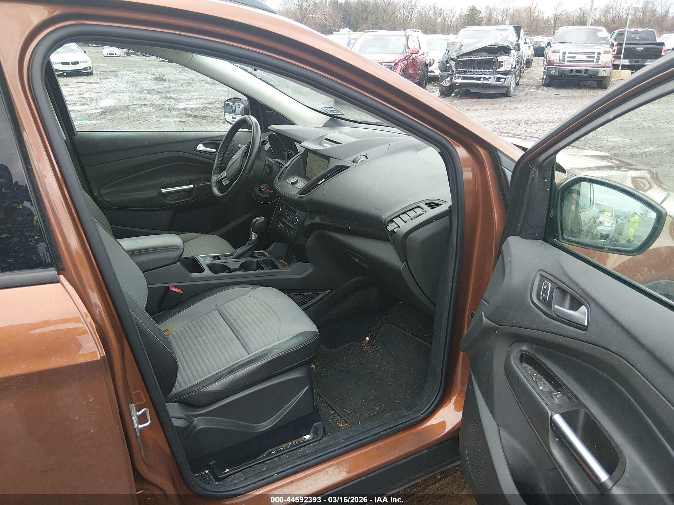 FORD ESCAPE image 5