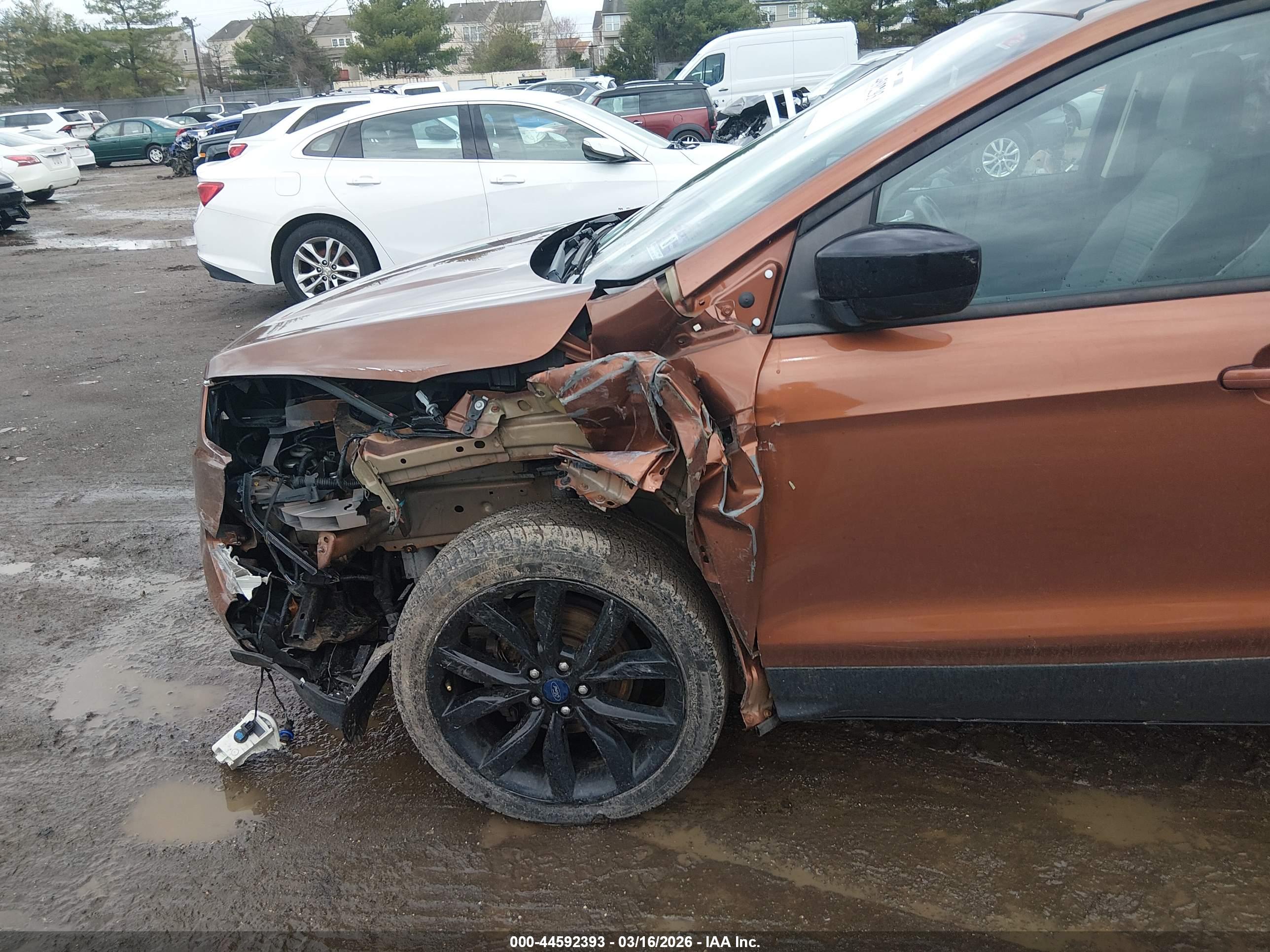 FORD ESCAPE image 6