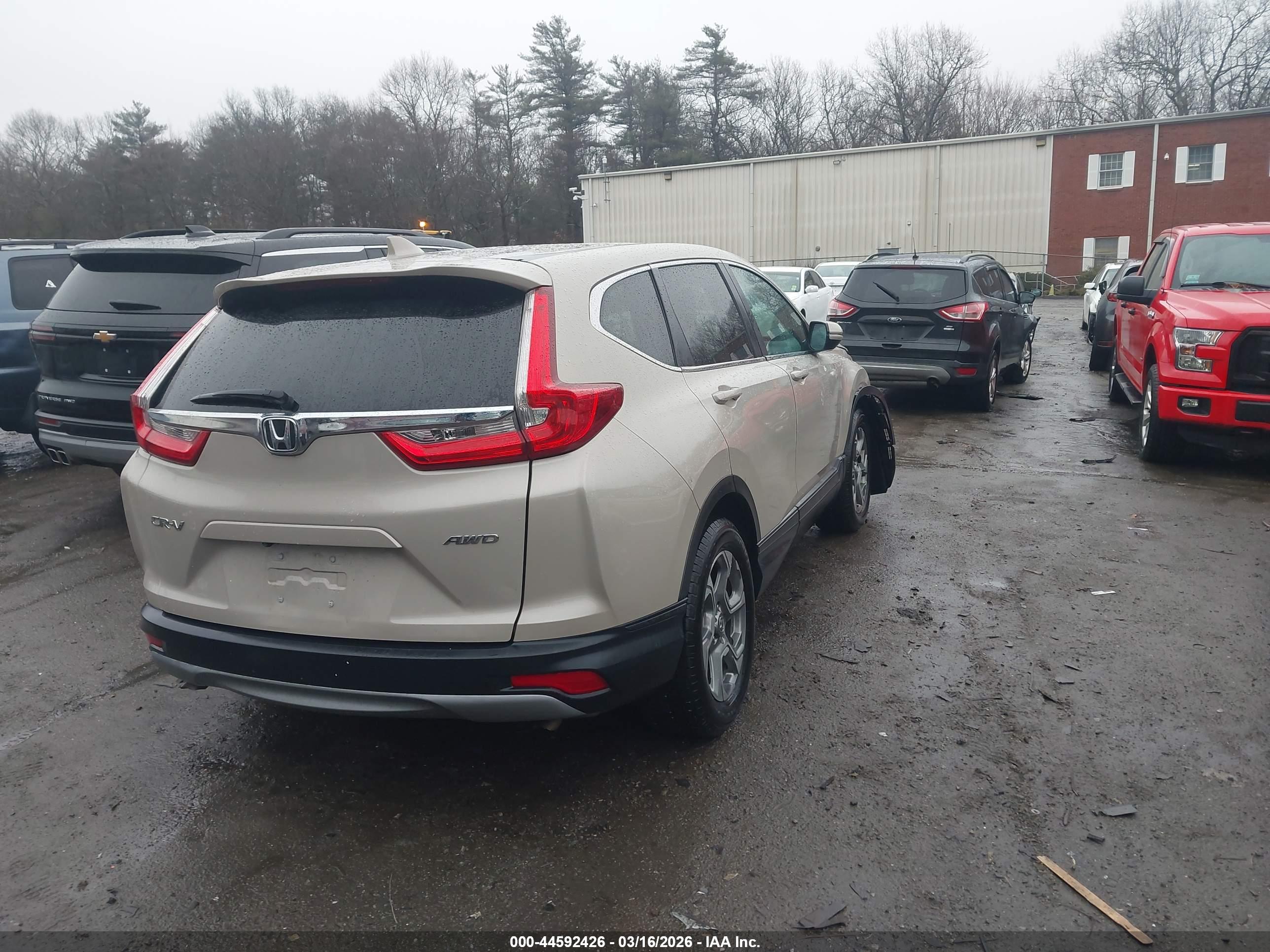 HONDA CR-V image 4