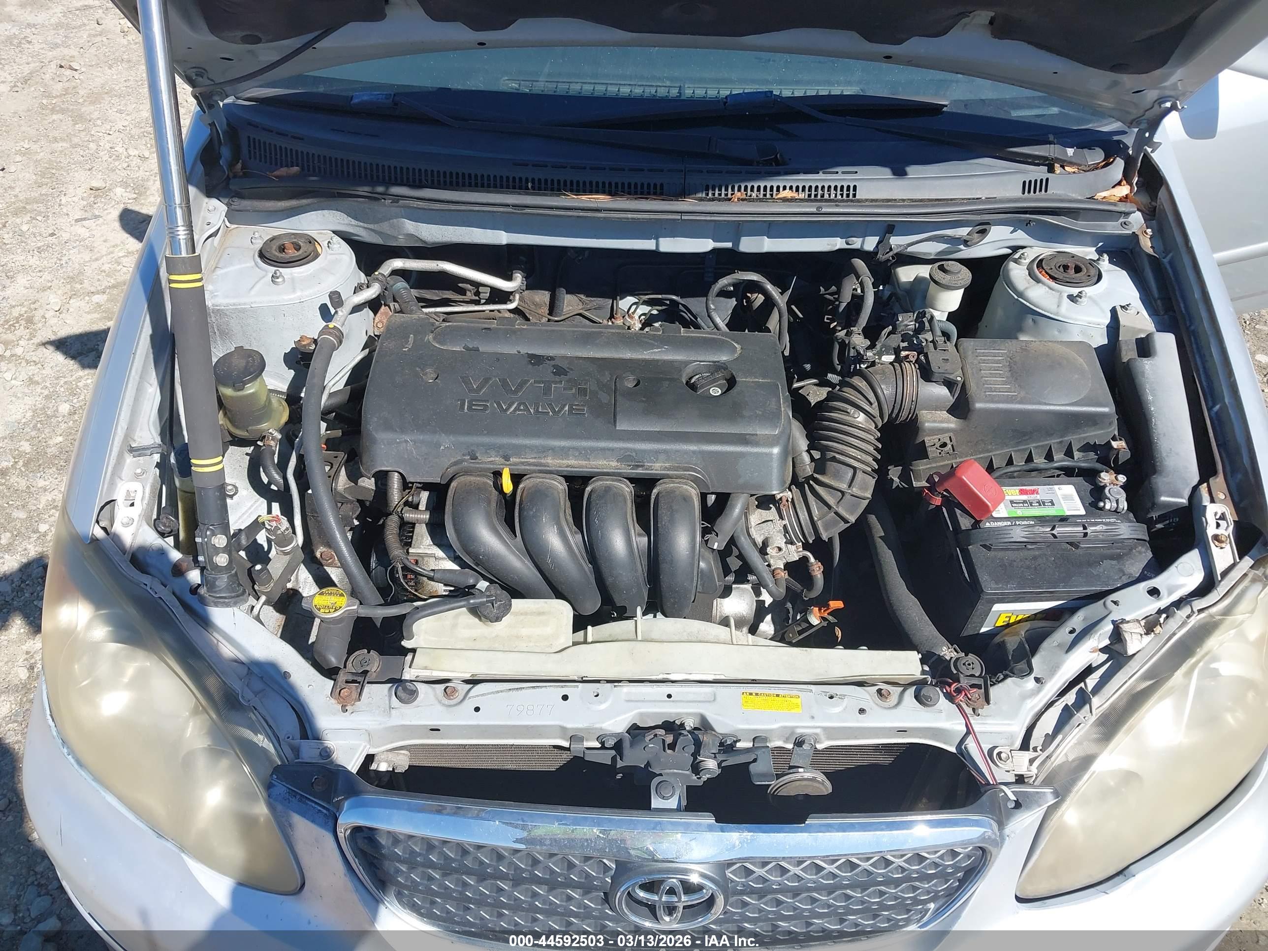 TOYOTA COROLLA image 10