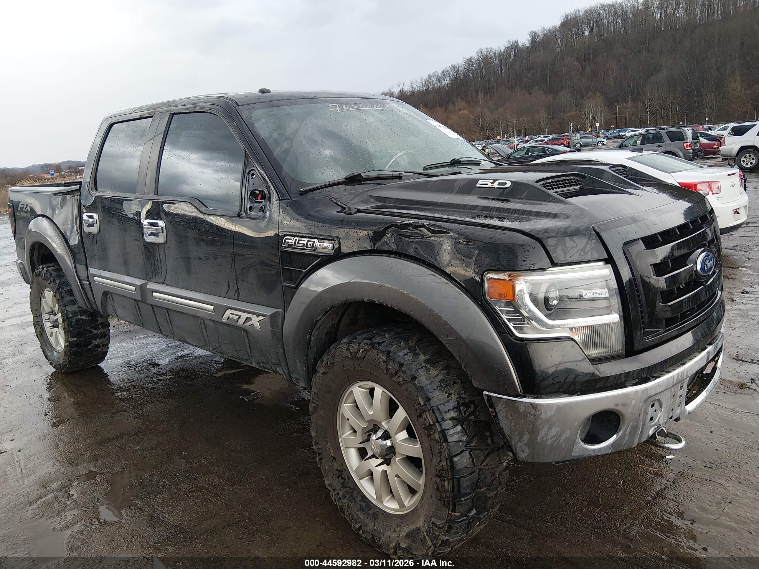 FORD F-150 image 6
