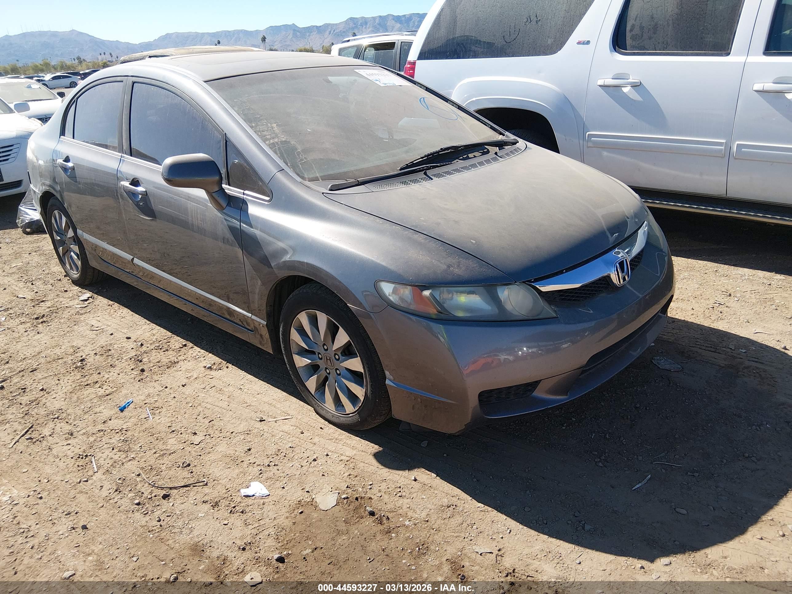 HONDA CIVIC image 6