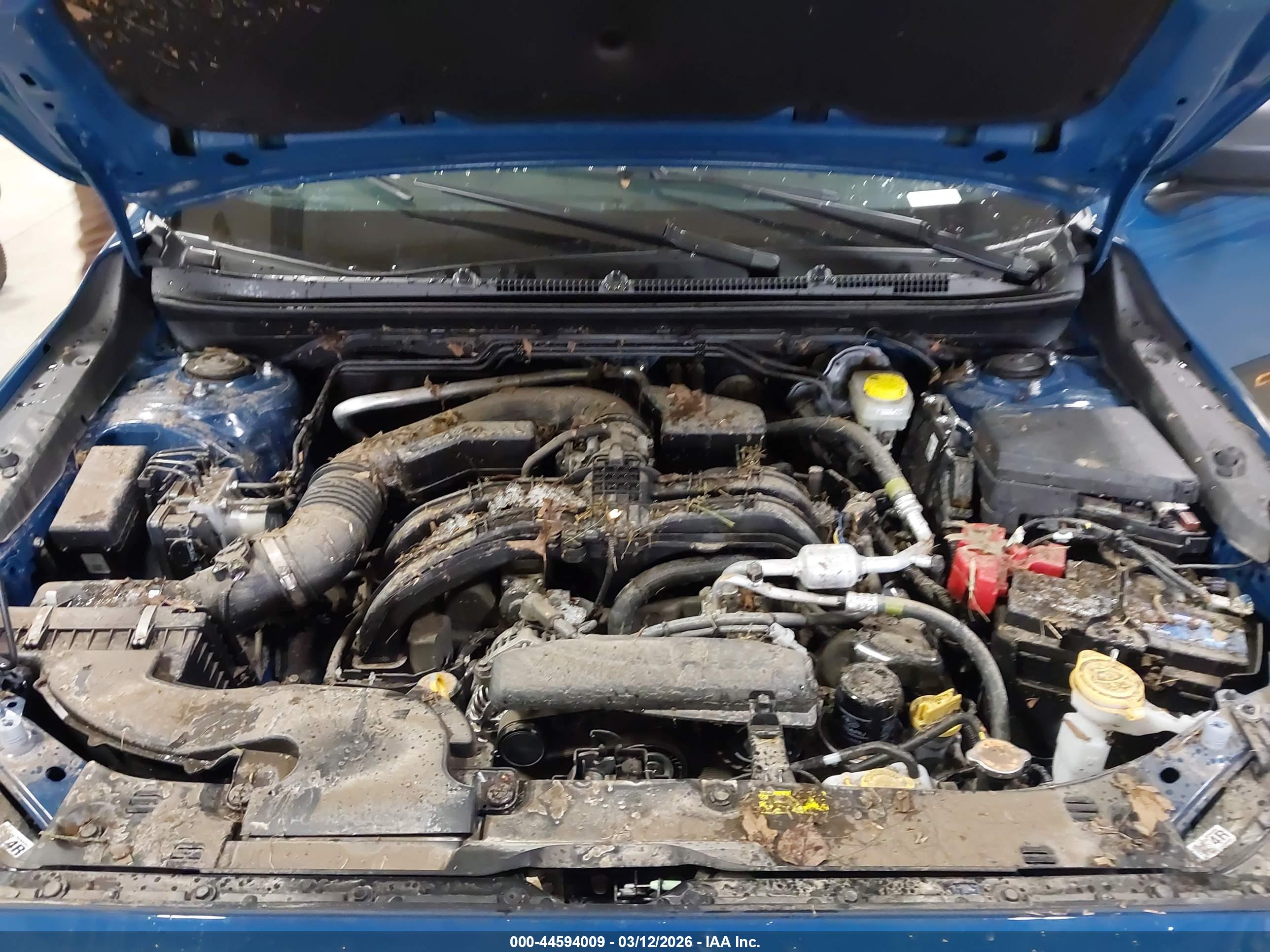 SUBARU CROSSTREK image 10