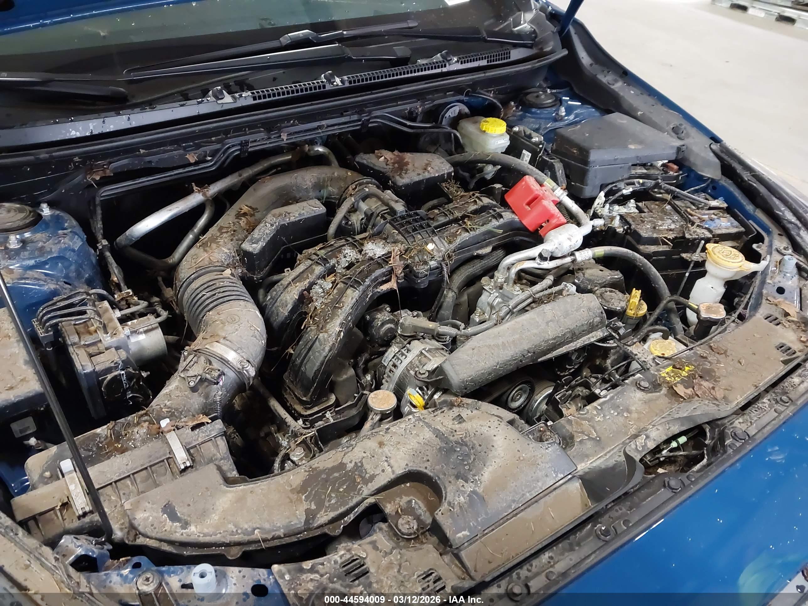 SUBARU CROSSTREK image 6