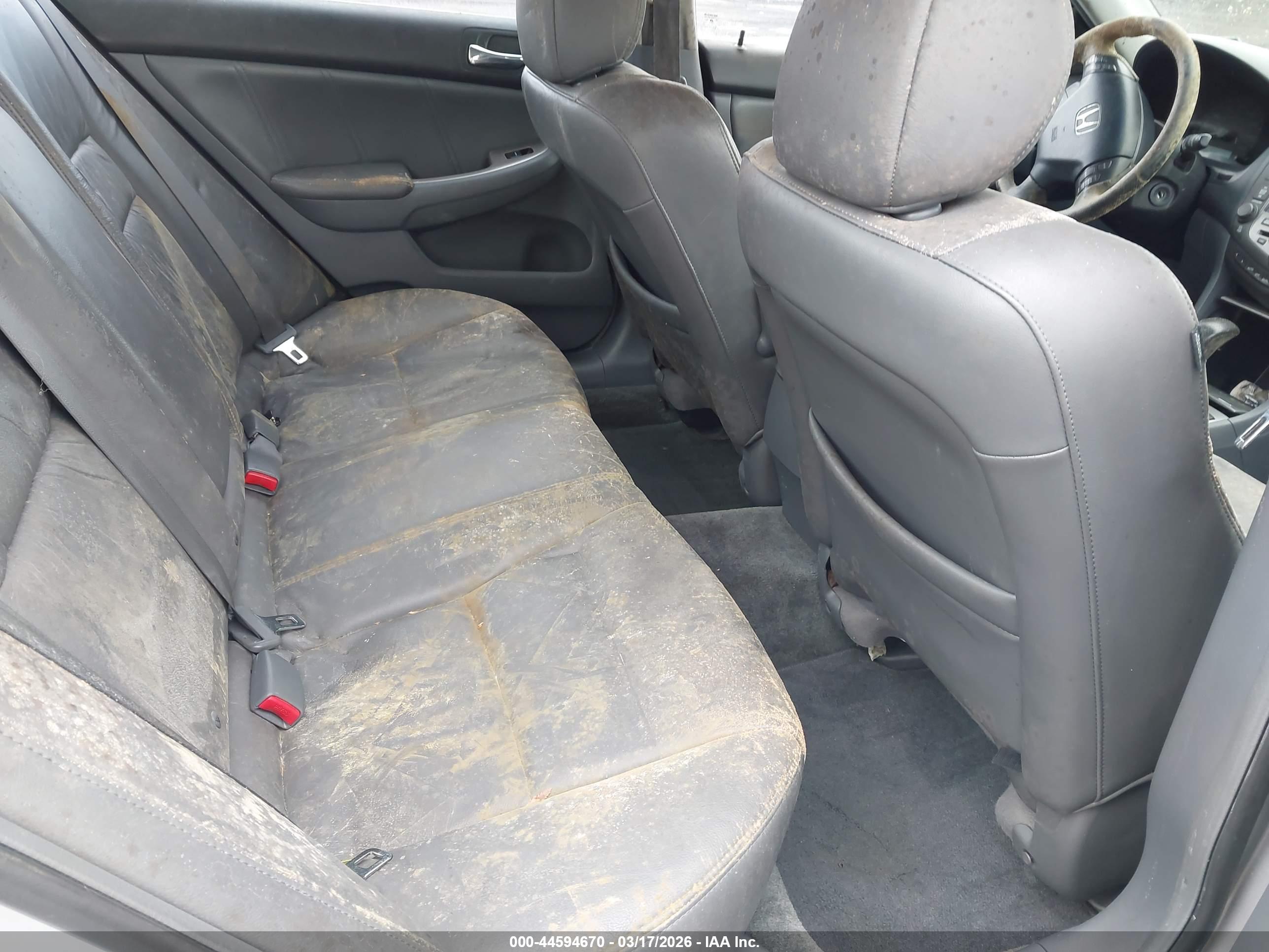 HONDA ACCORD image 8