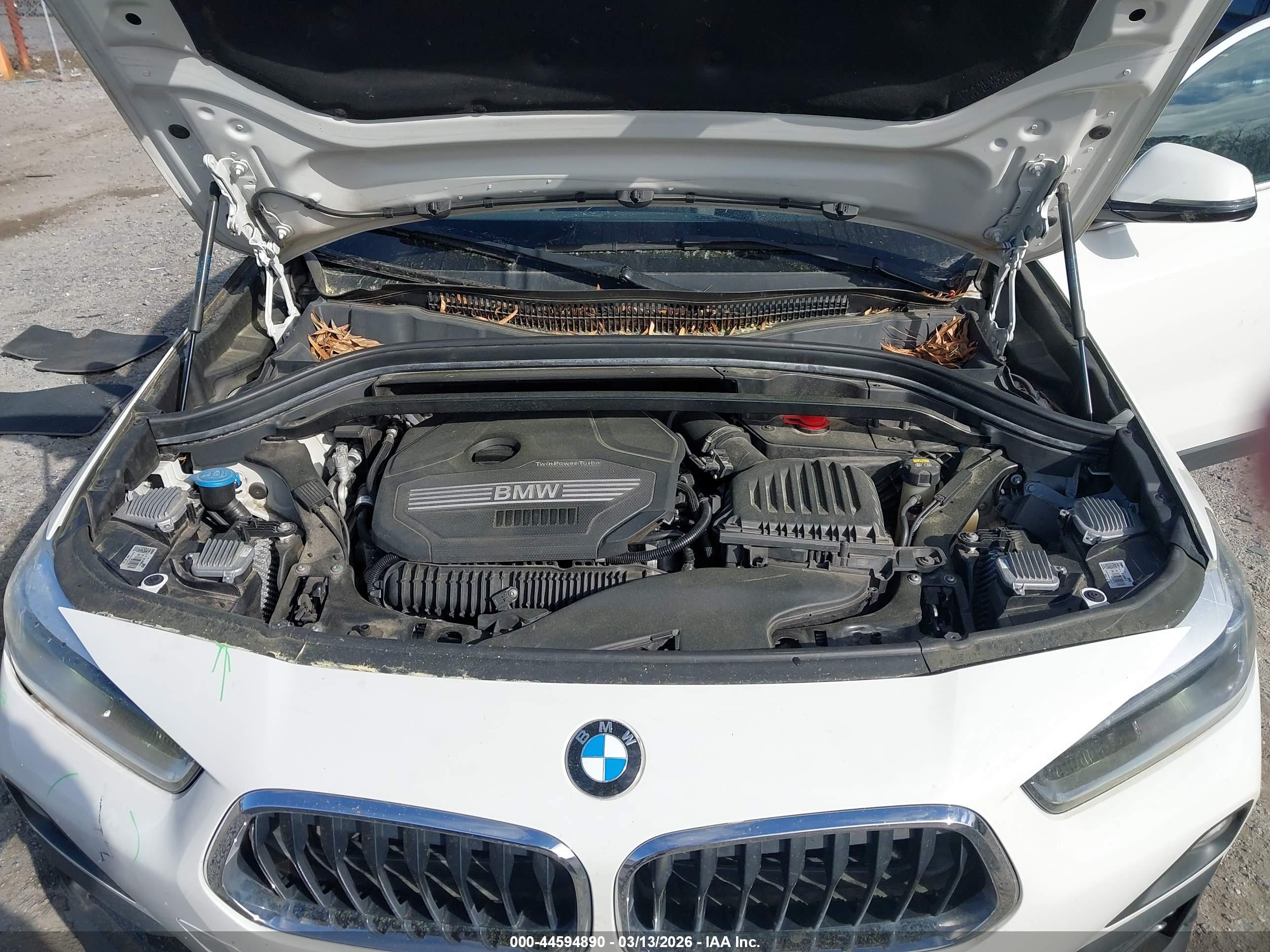 BMW X2 image 10
