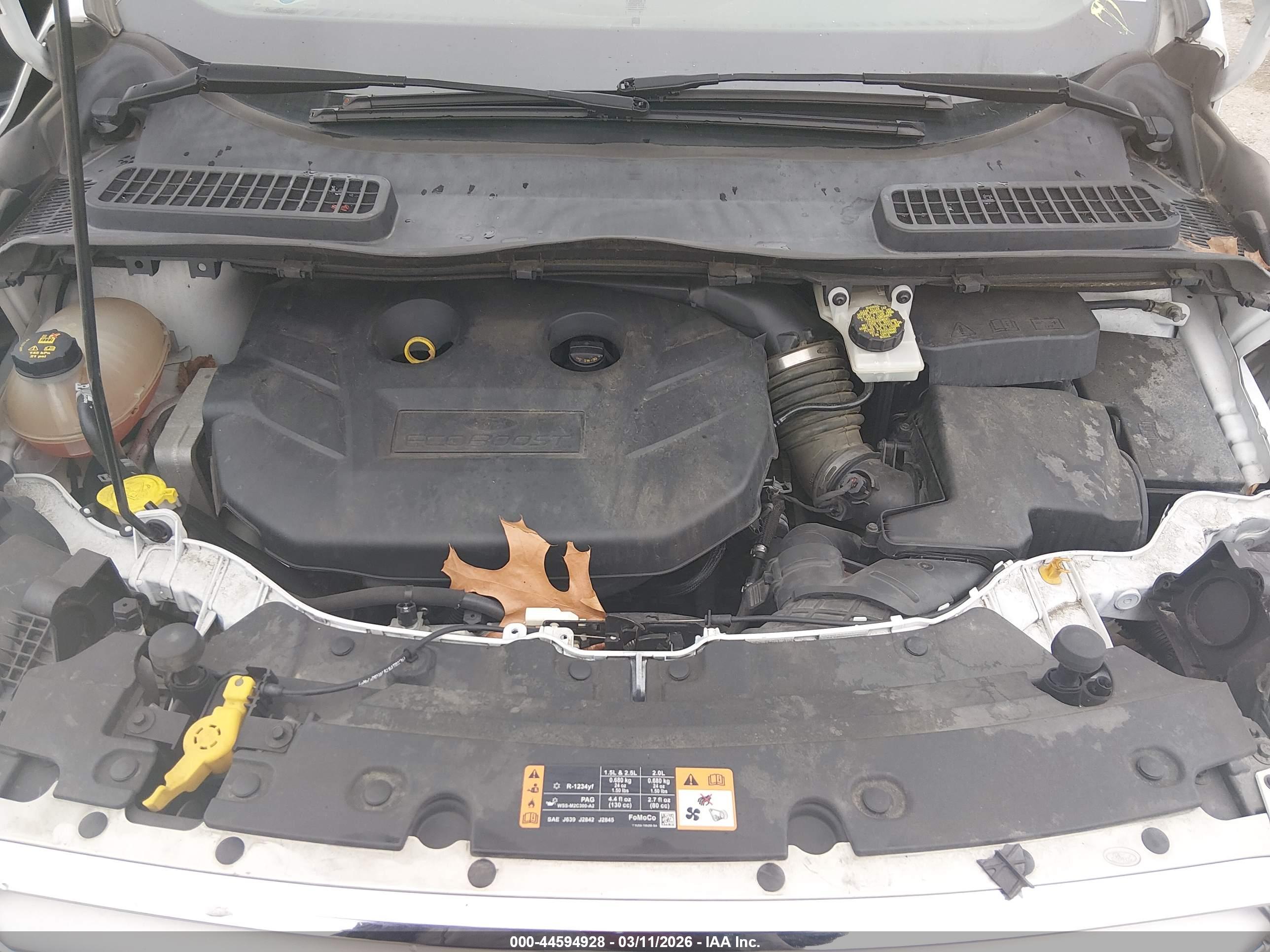 FORD ESCAPE image 10