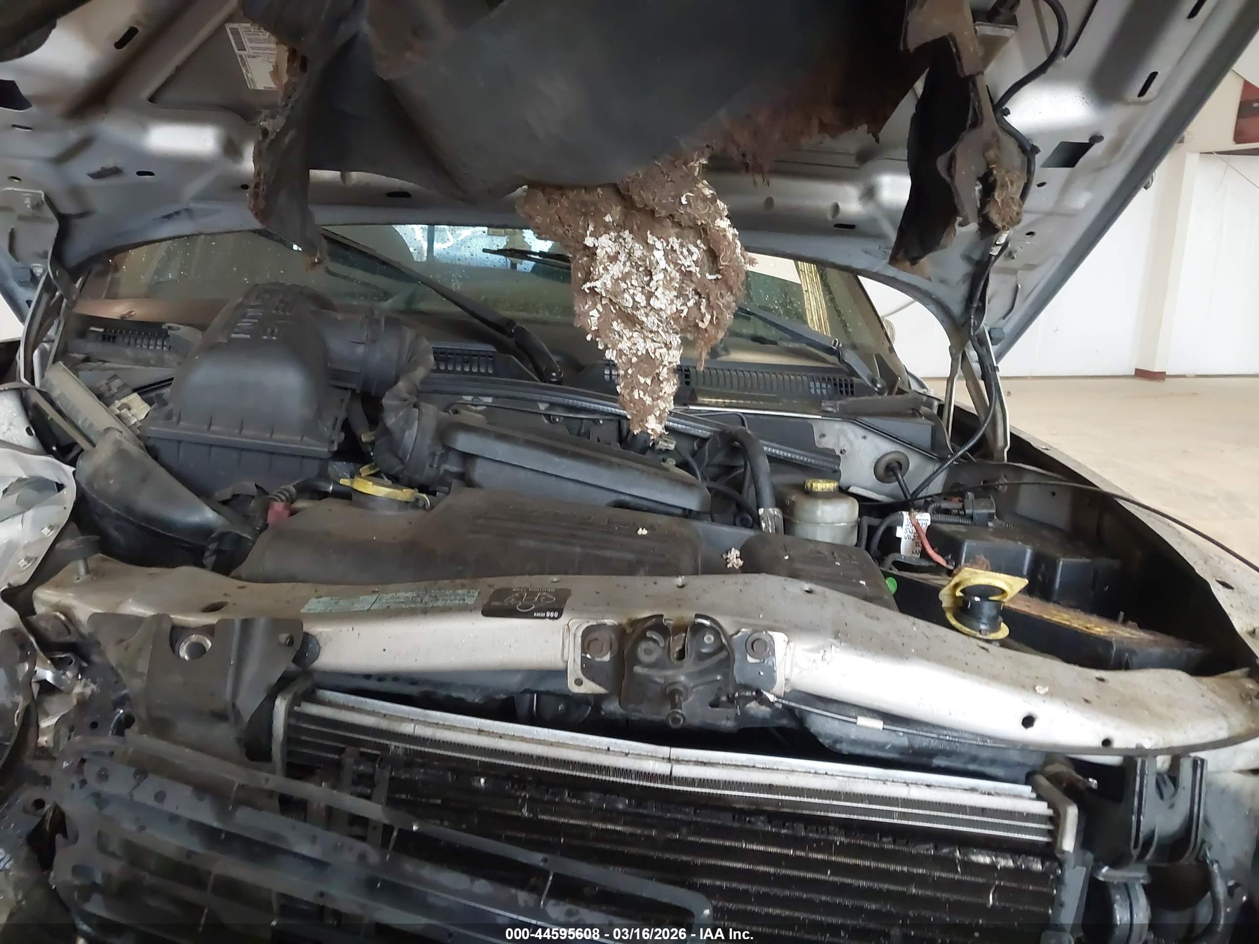 DODGE DAKOTA image 10
