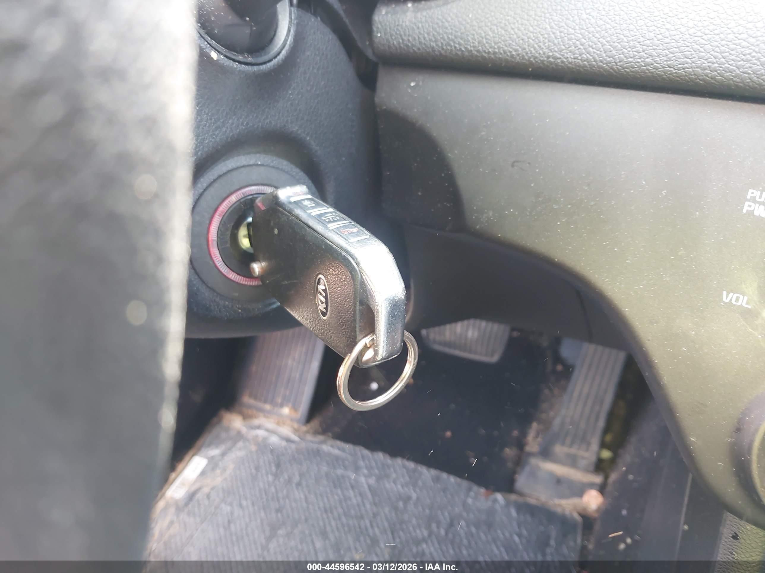 KIA SPORTAGE image 11
