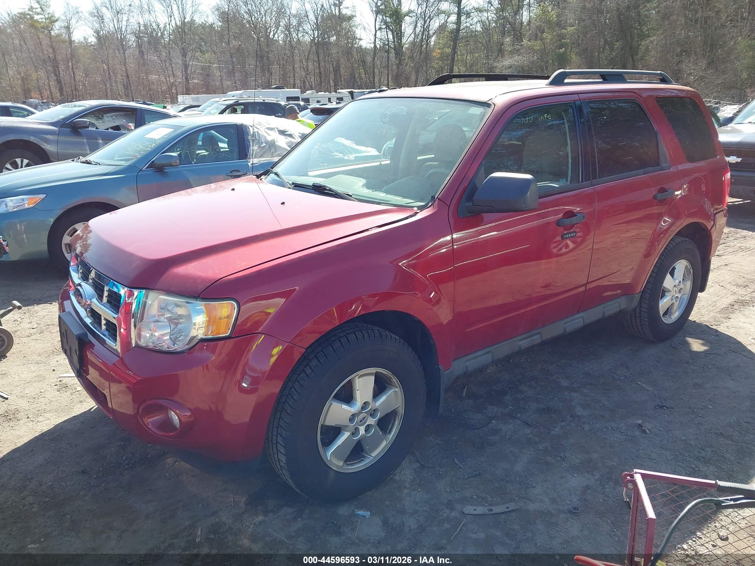FORD ESCAPE image 2