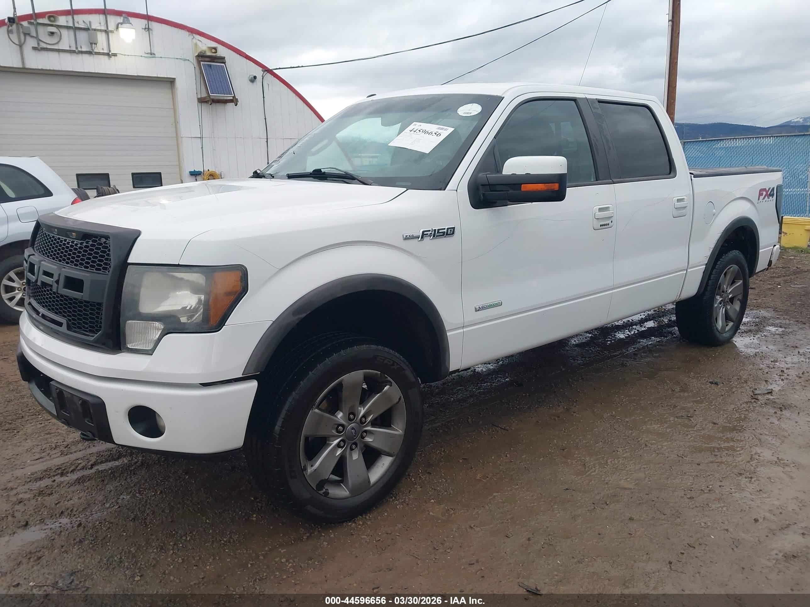 FORD F-150 image 2