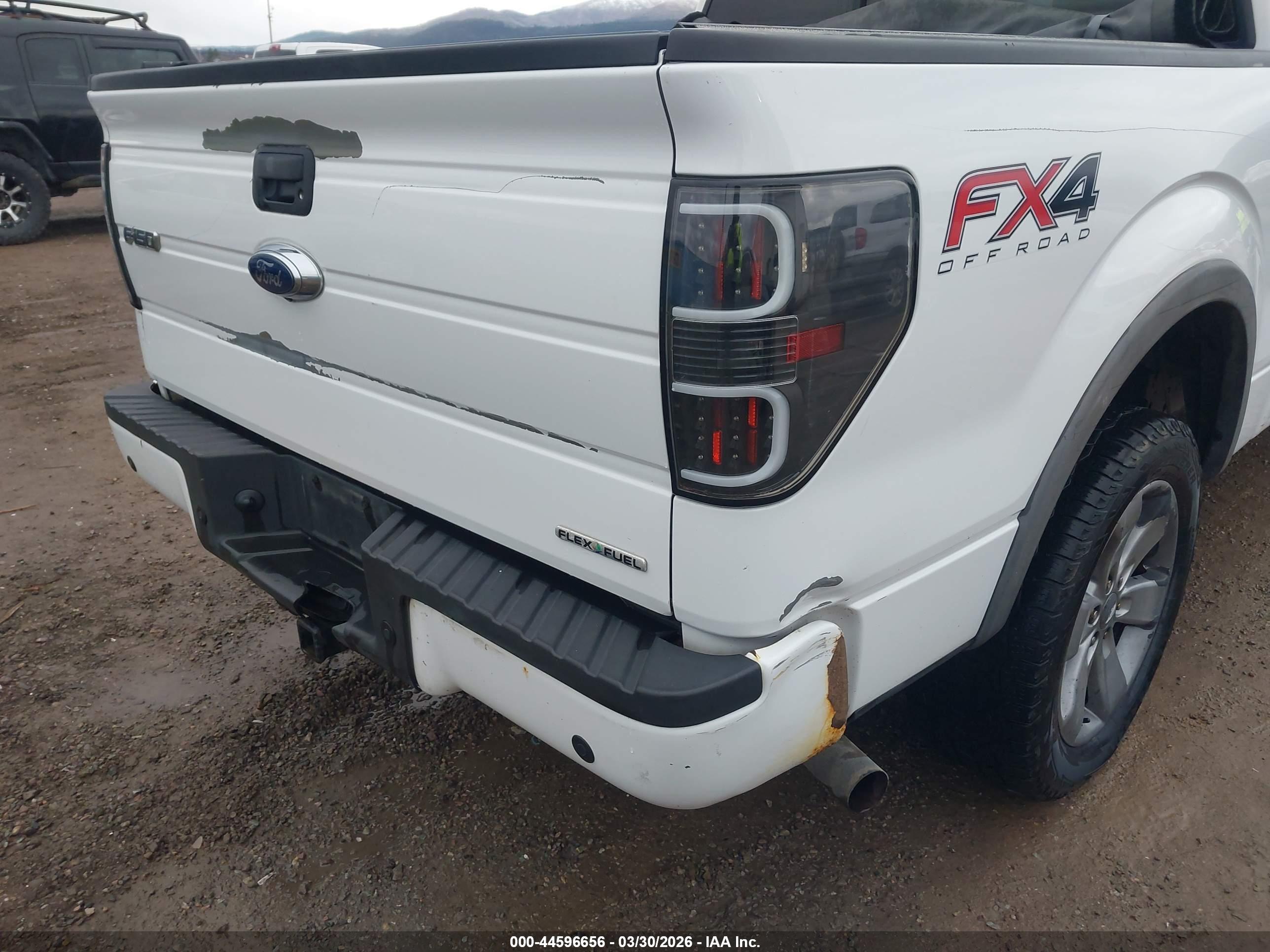 FORD F-150 image 6
