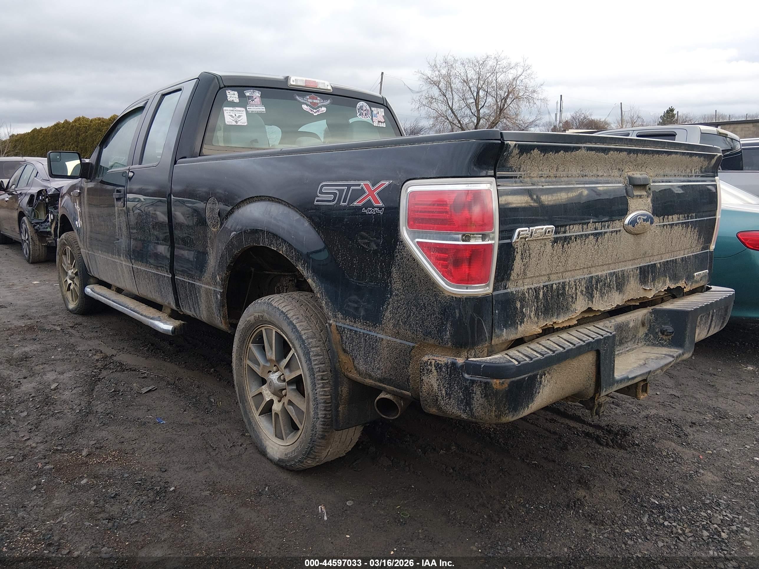 FORD F-150 image 3