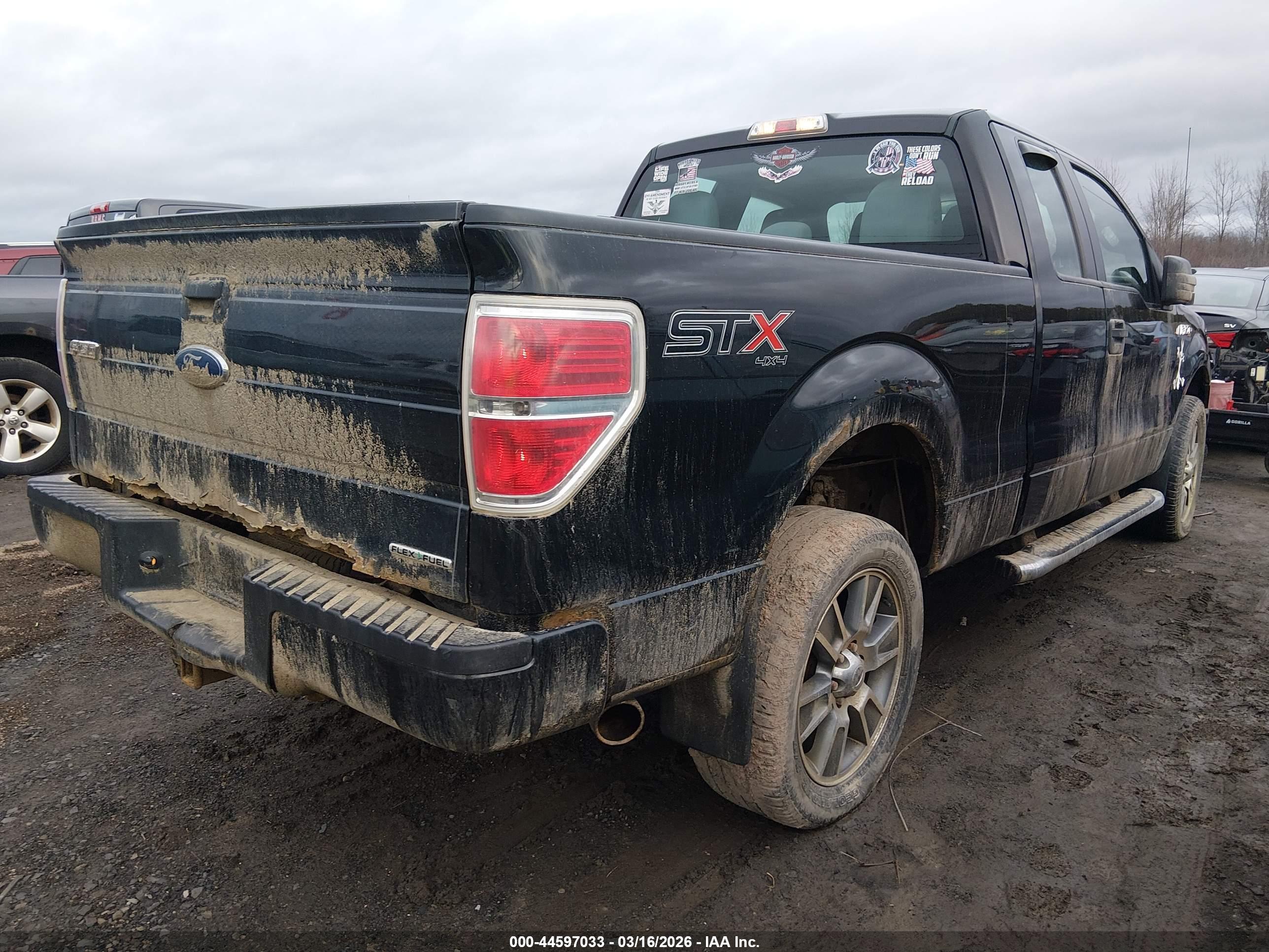 FORD F-150 image 4