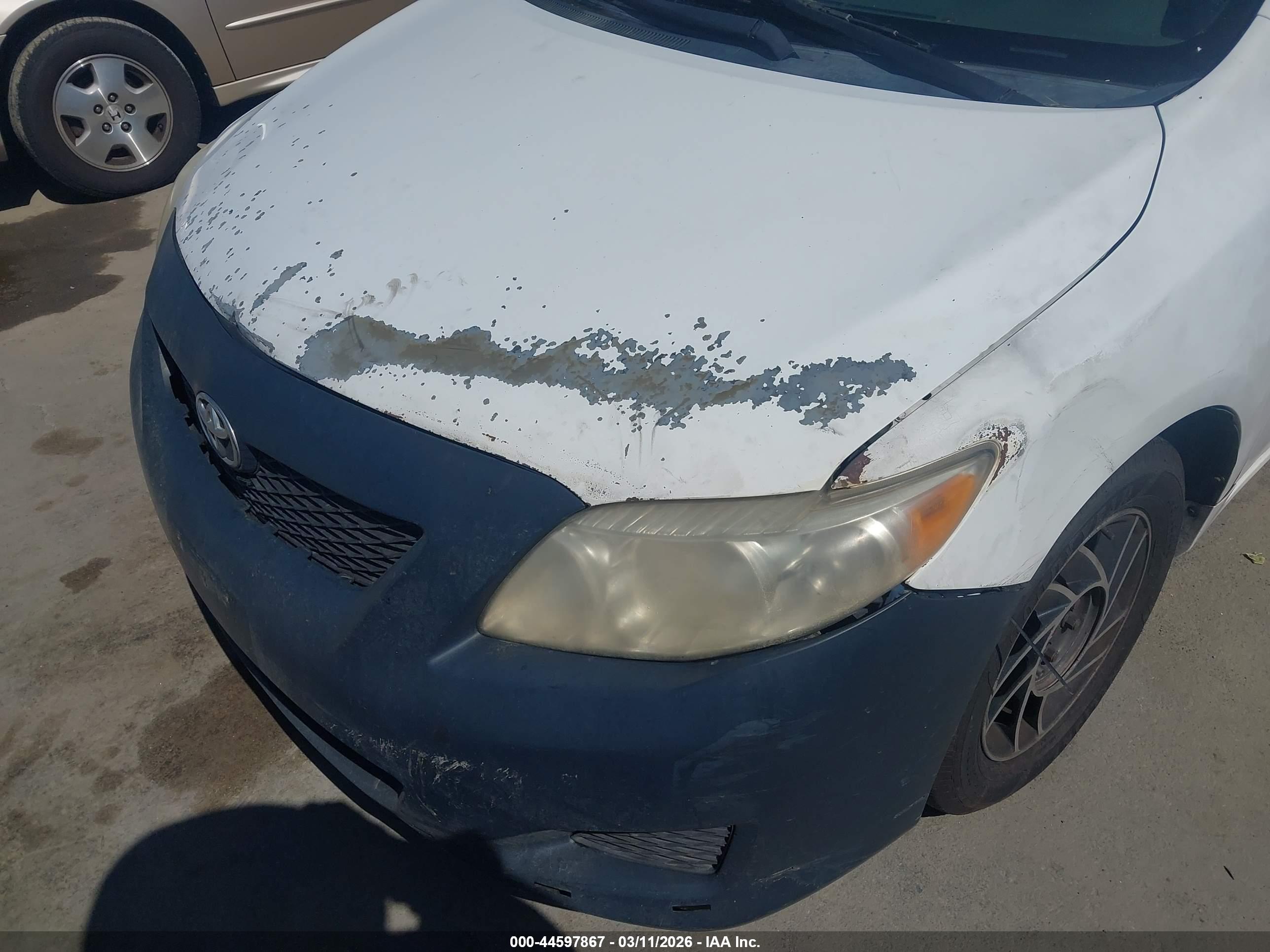 TOYOTA COROLLA image 6