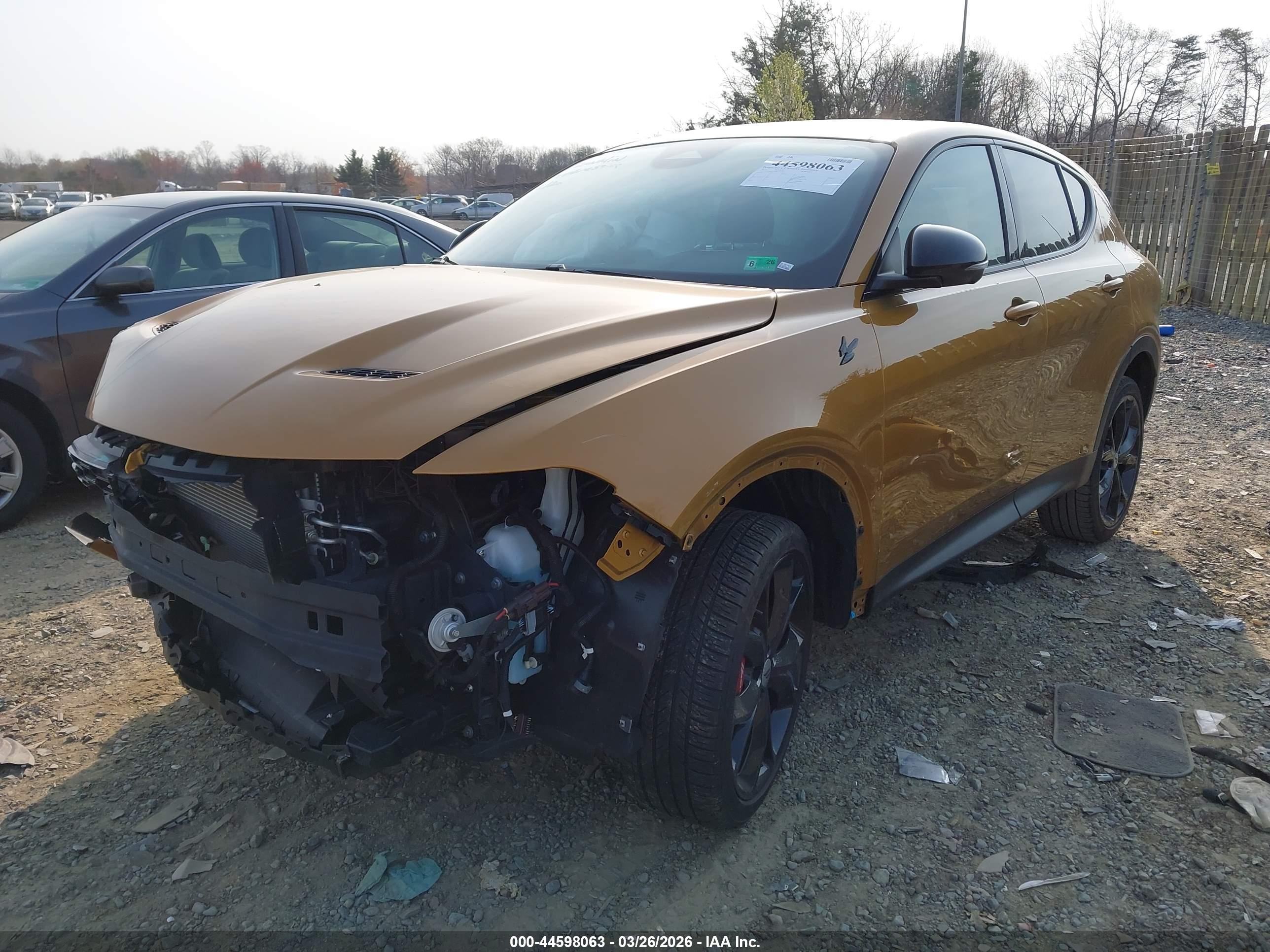 DODGE HORNET image 2