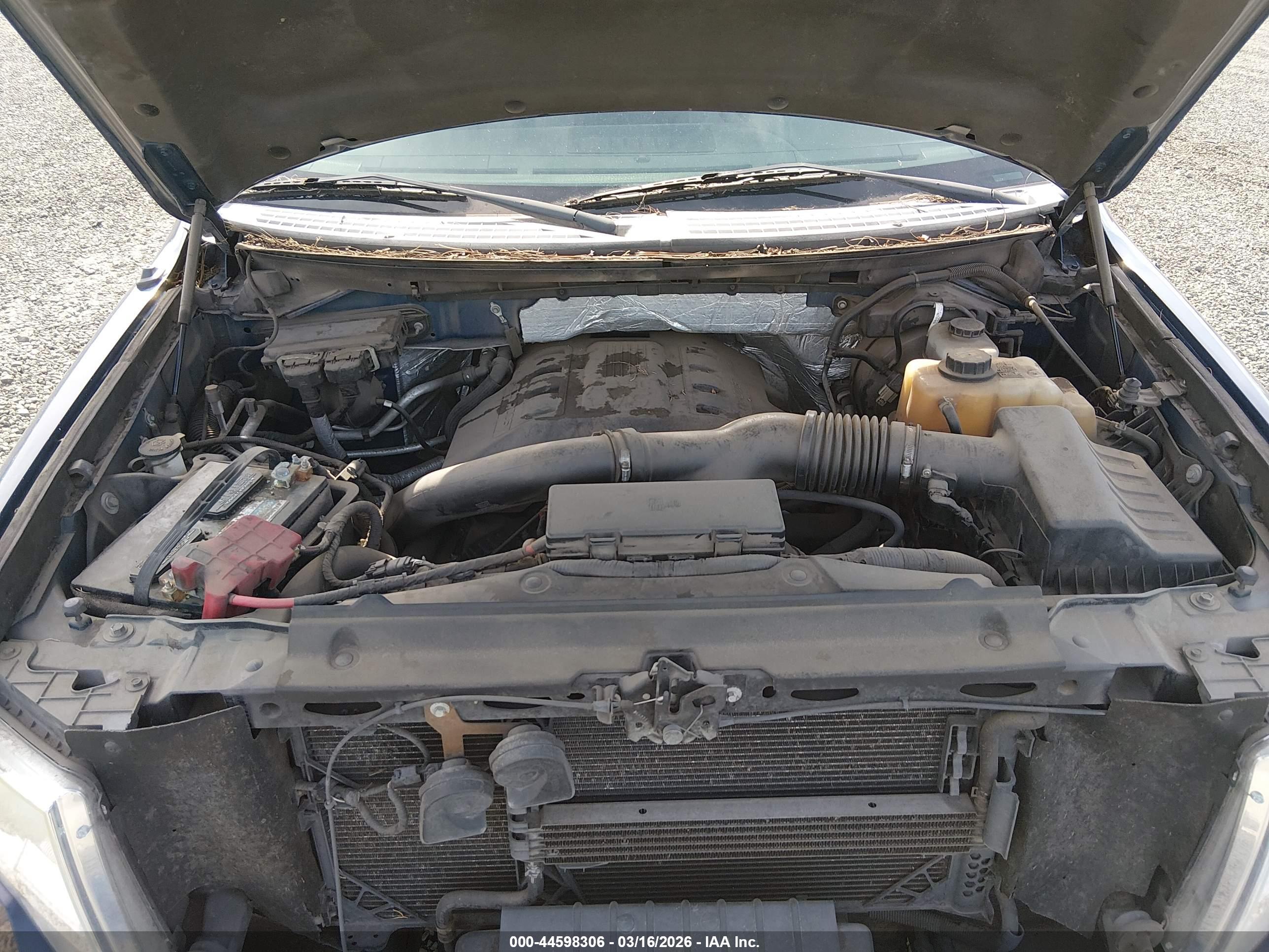 FORD F-150 image 10