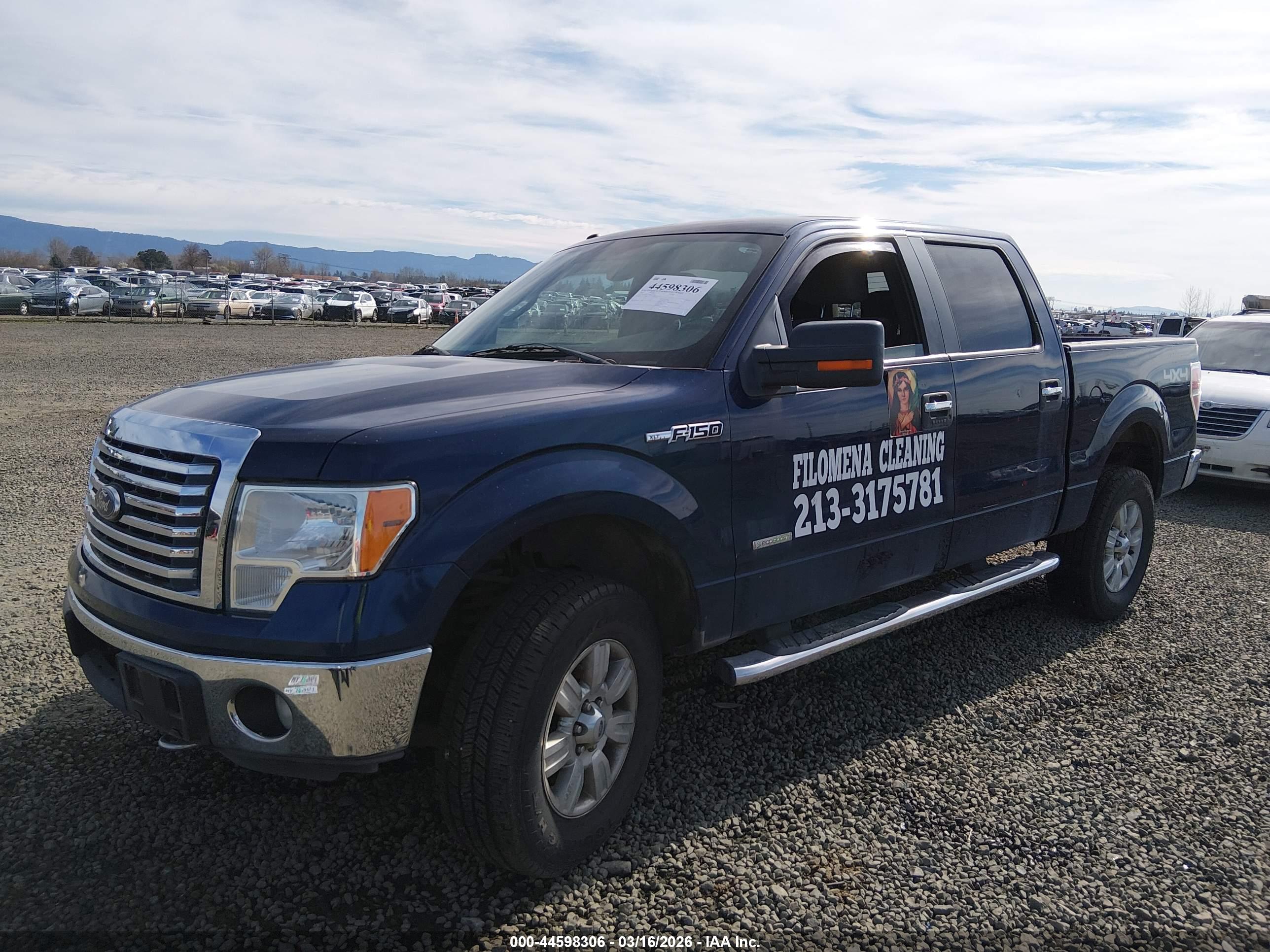 FORD F-150 image 2