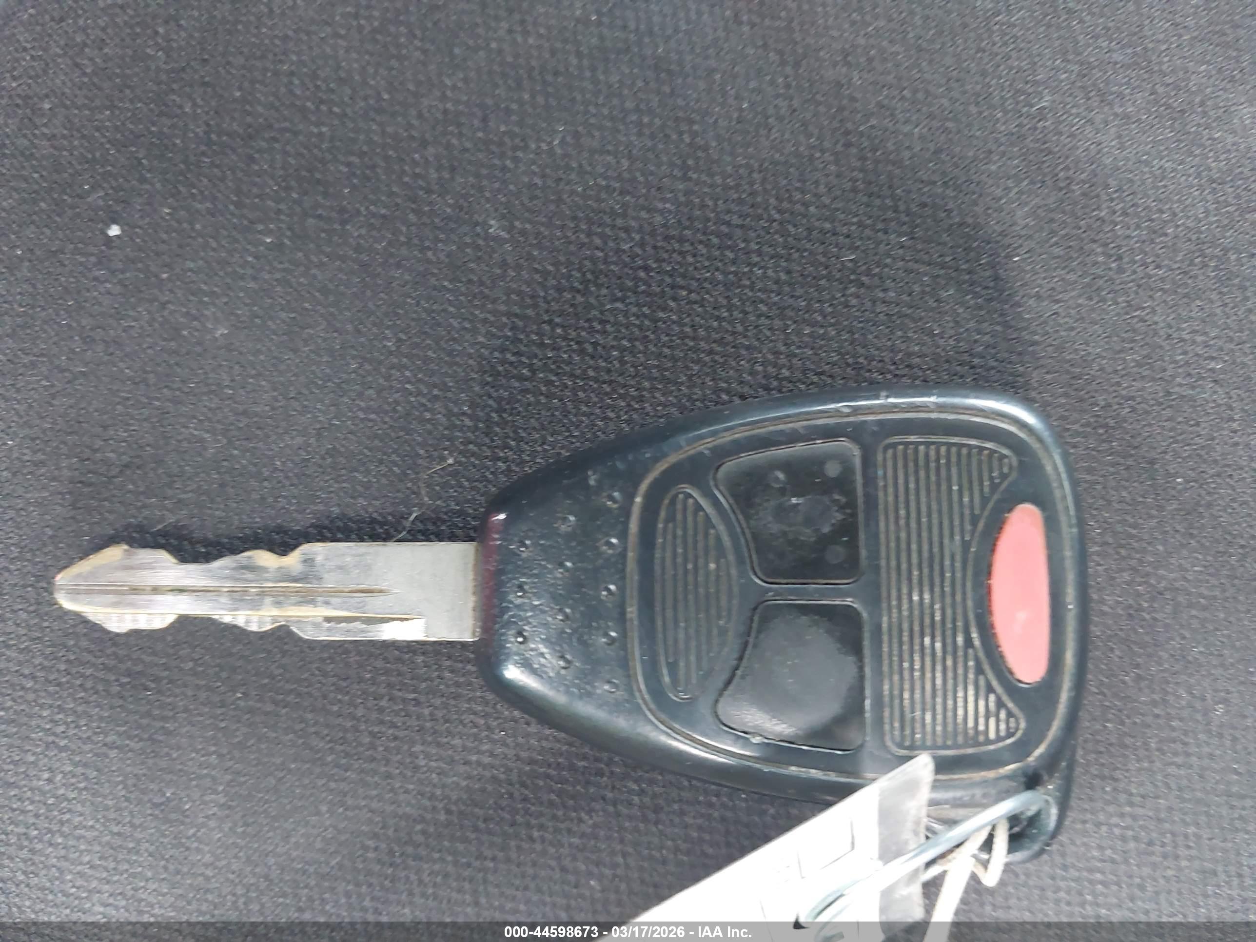 JEEP WRANGLER image 11