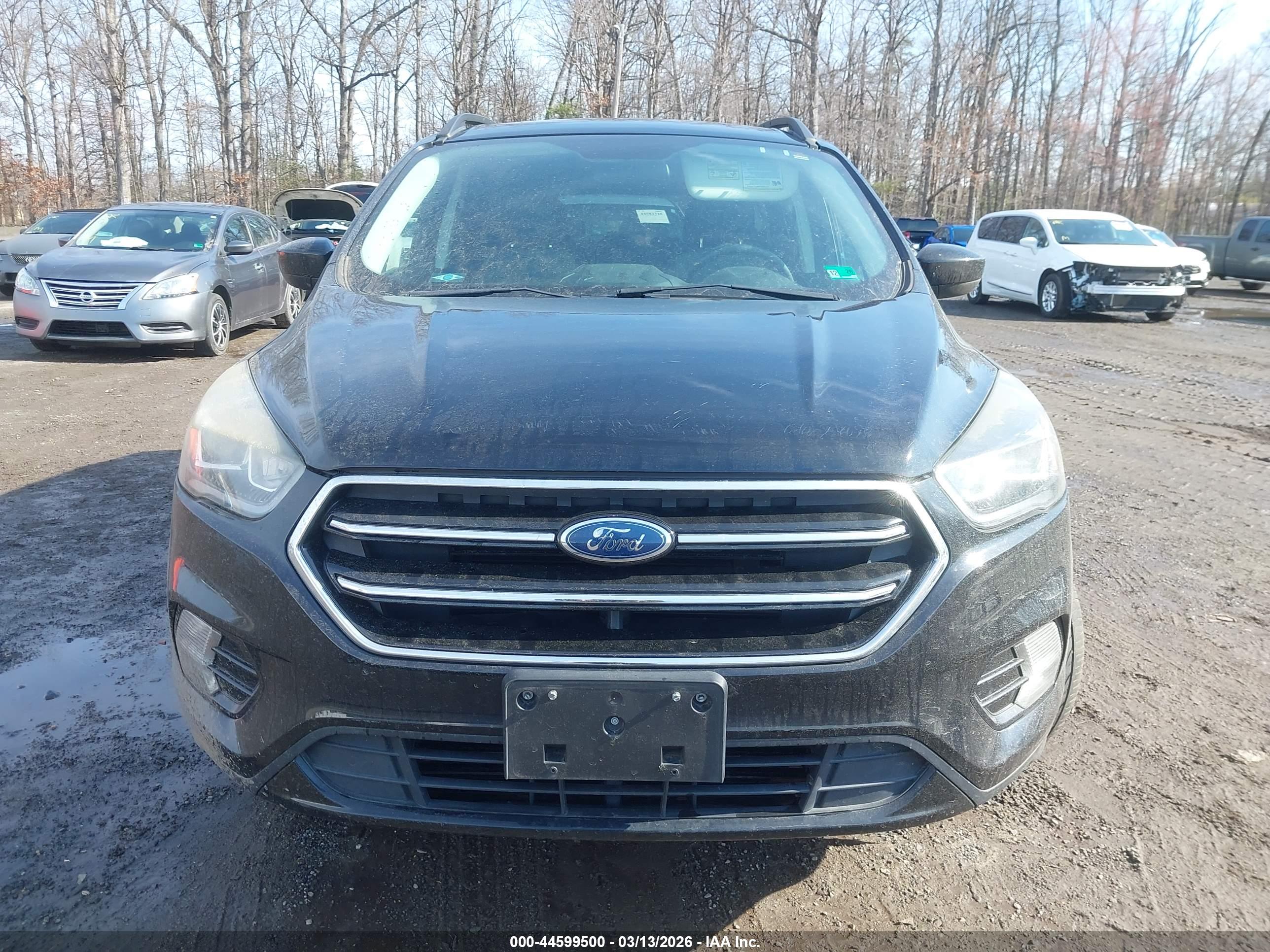 FORD ESCAPE image 6