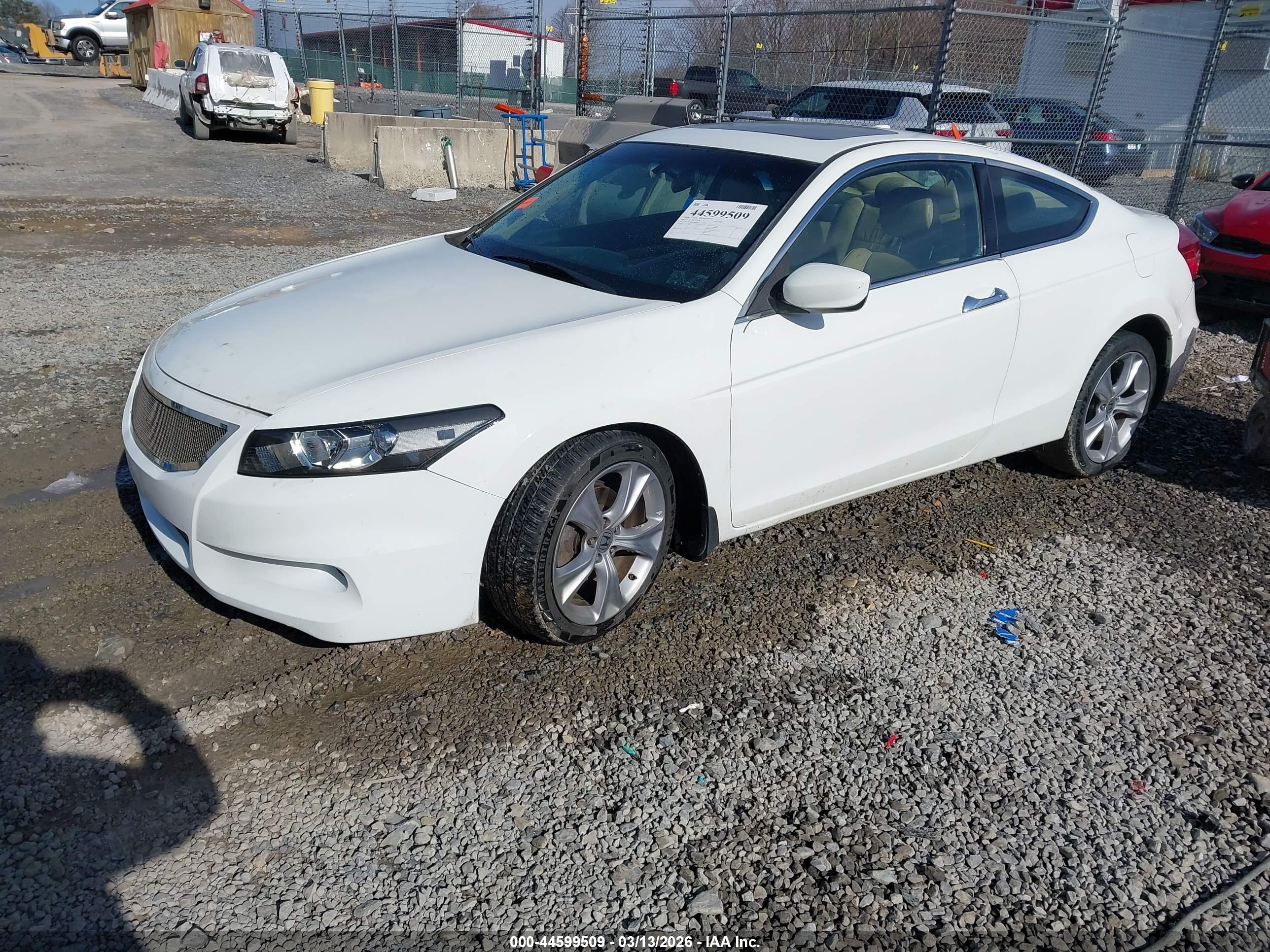HONDA ACCORD image 2