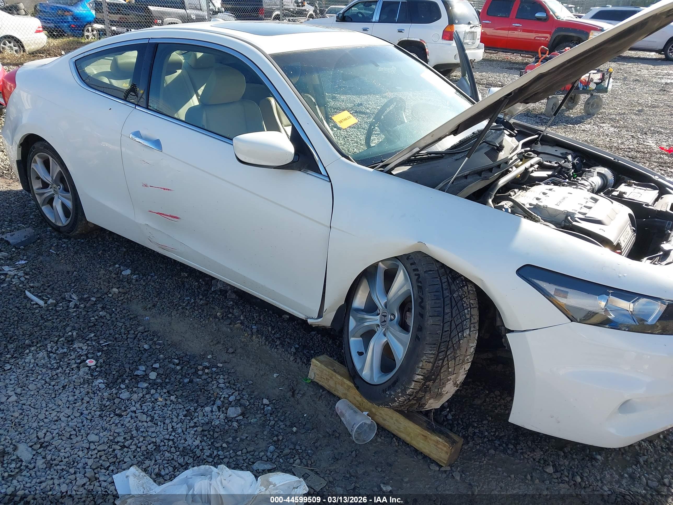 HONDA ACCORD image 6