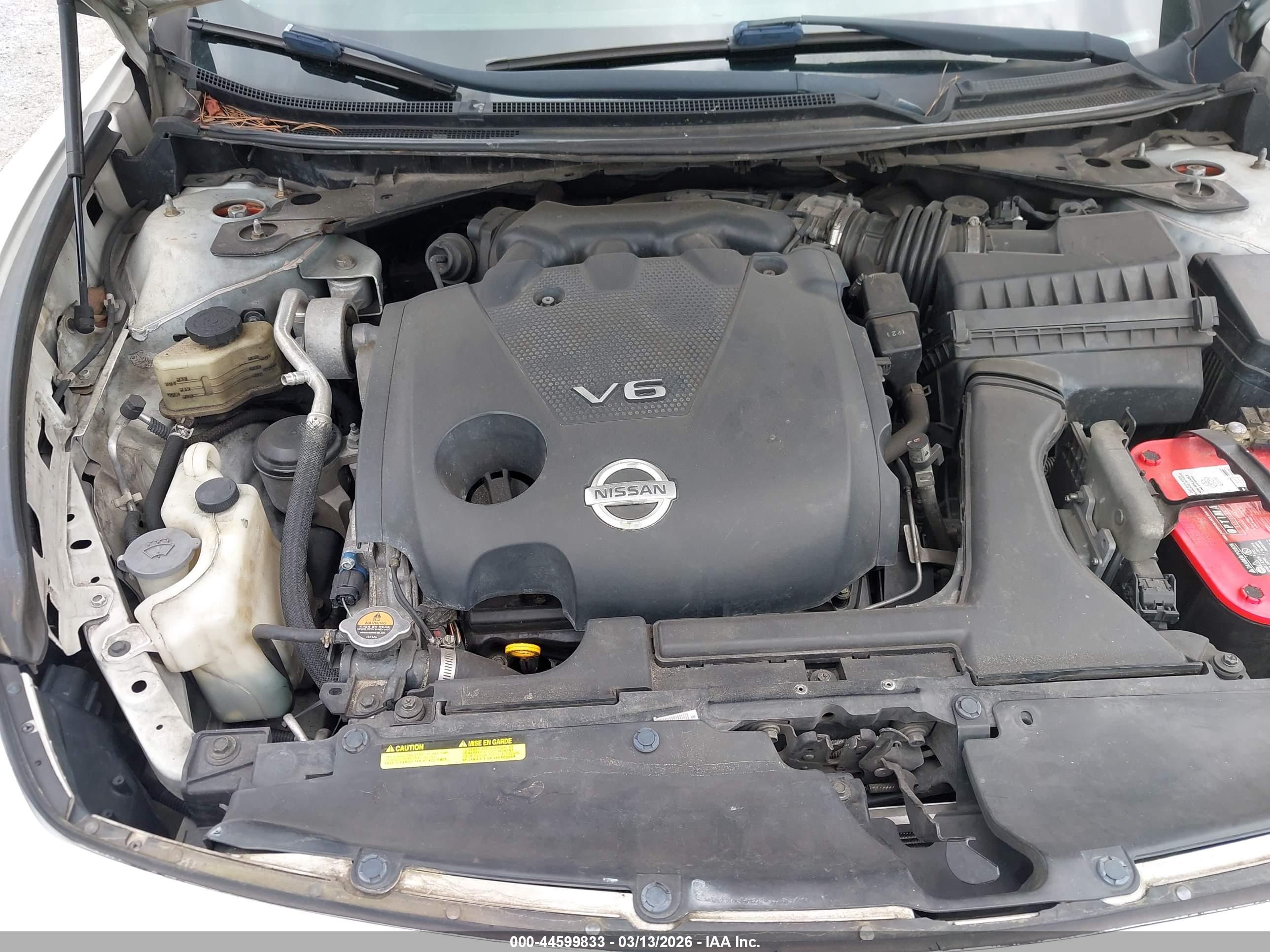 NISSAN MAXIMA image 10