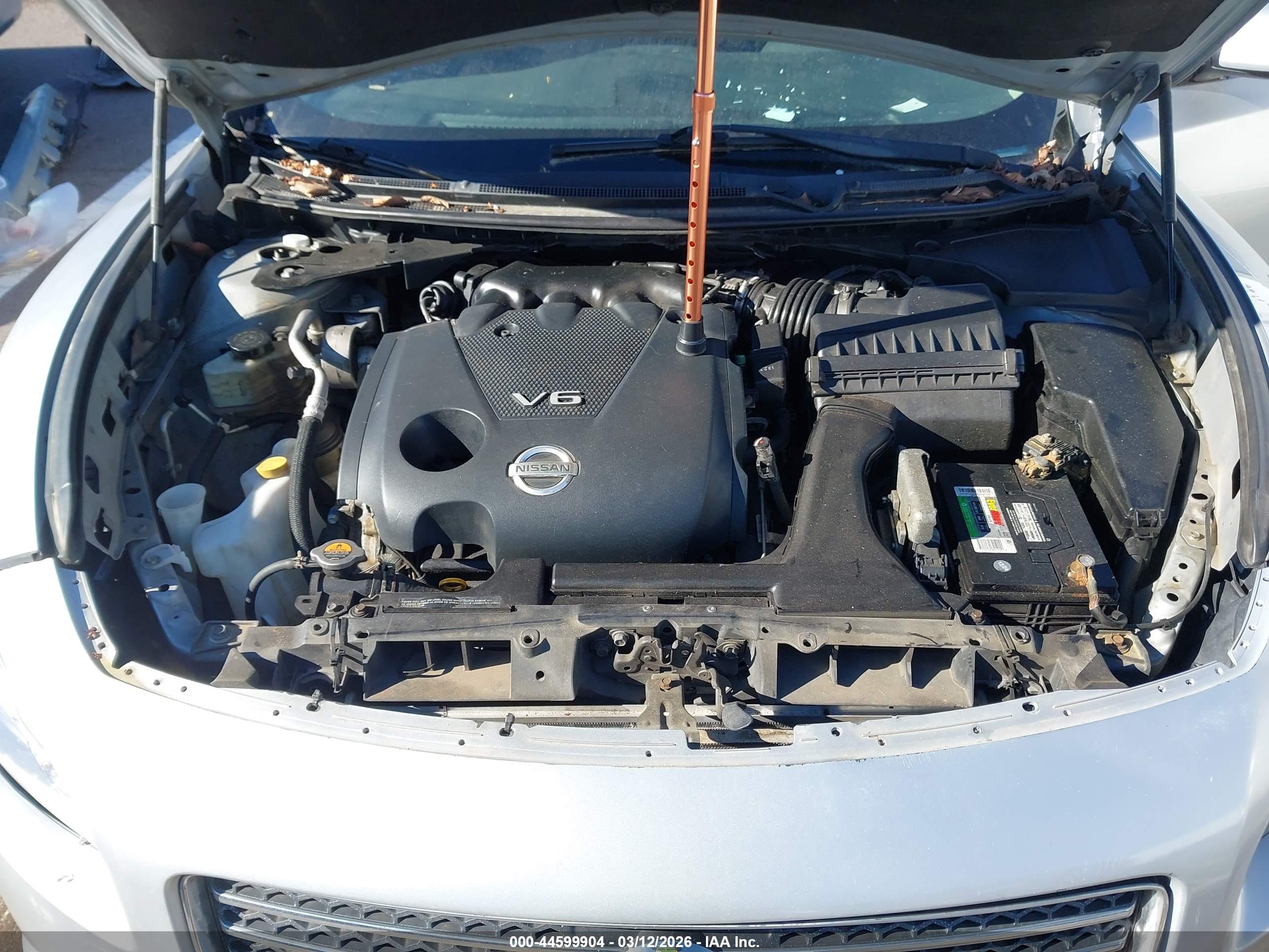 NISSAN MAXIMA image 10