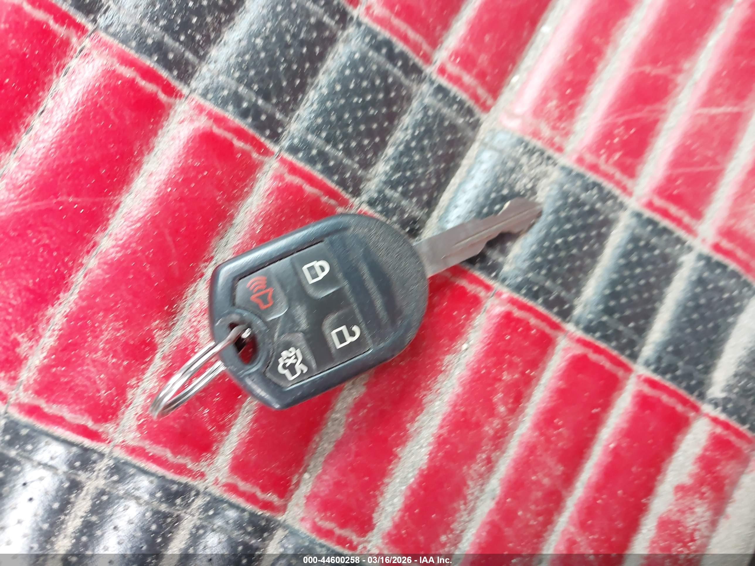 FORD SHELBY image 11