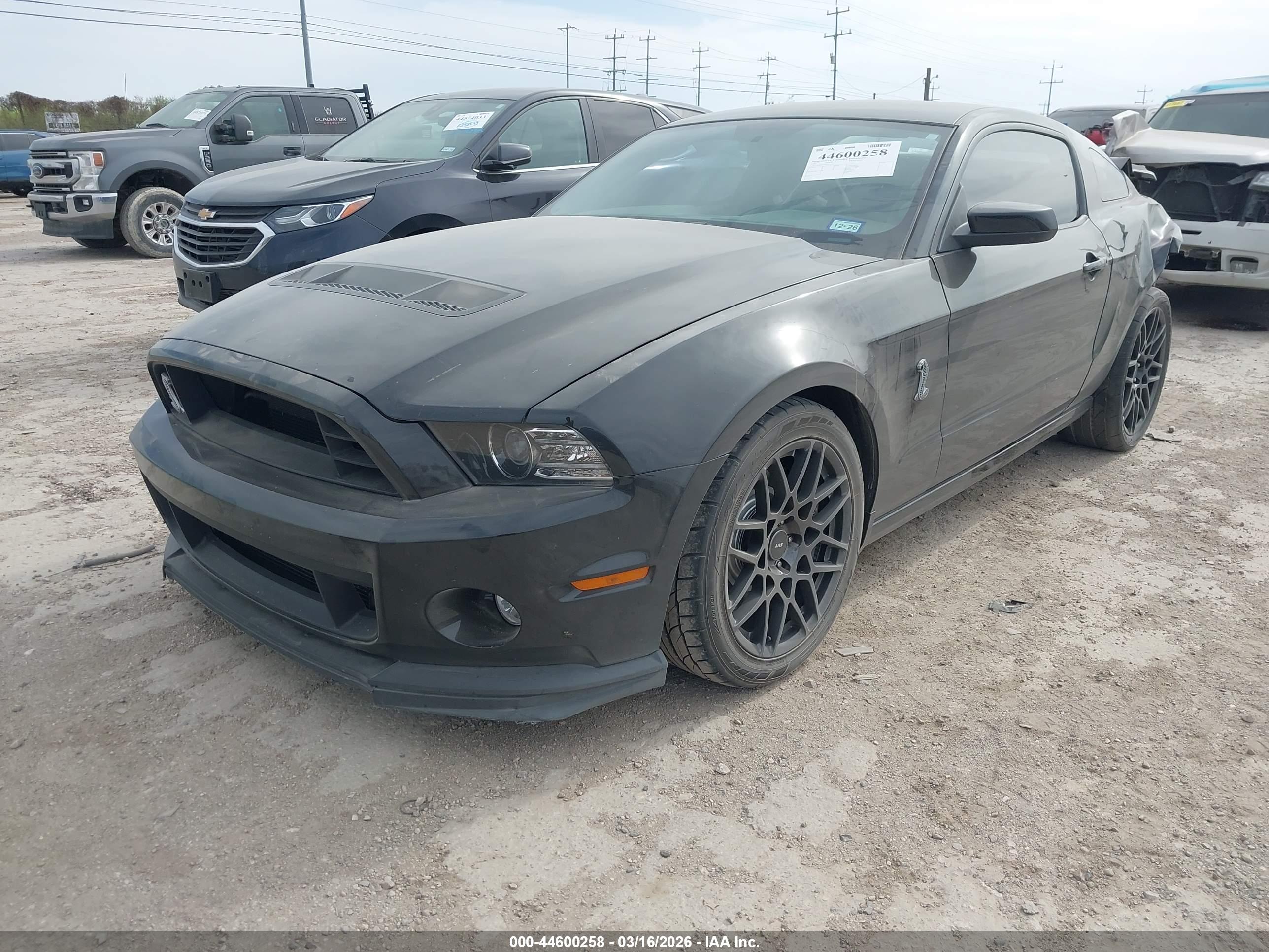 FORD SHELBY image 2