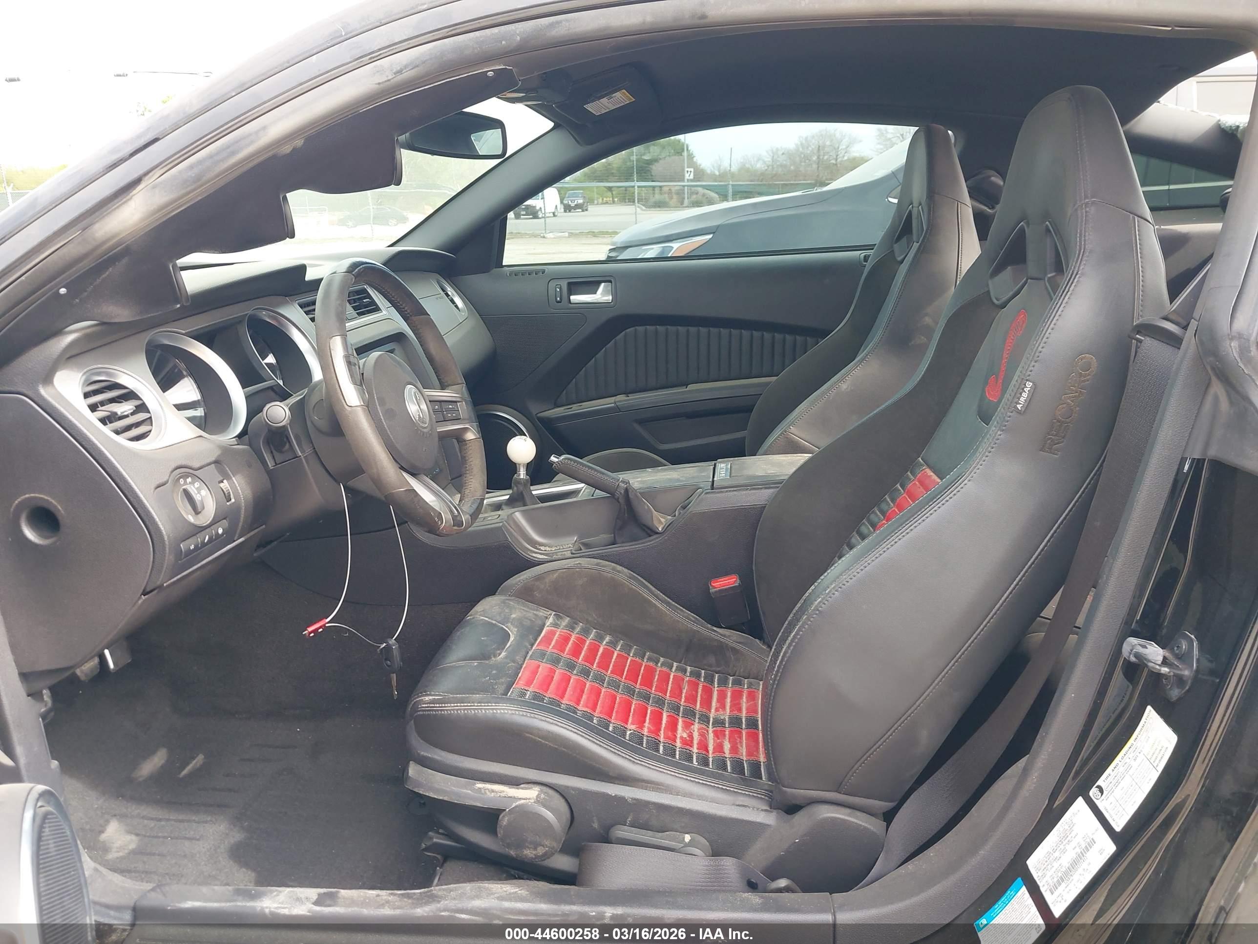 FORD SHELBY image 5