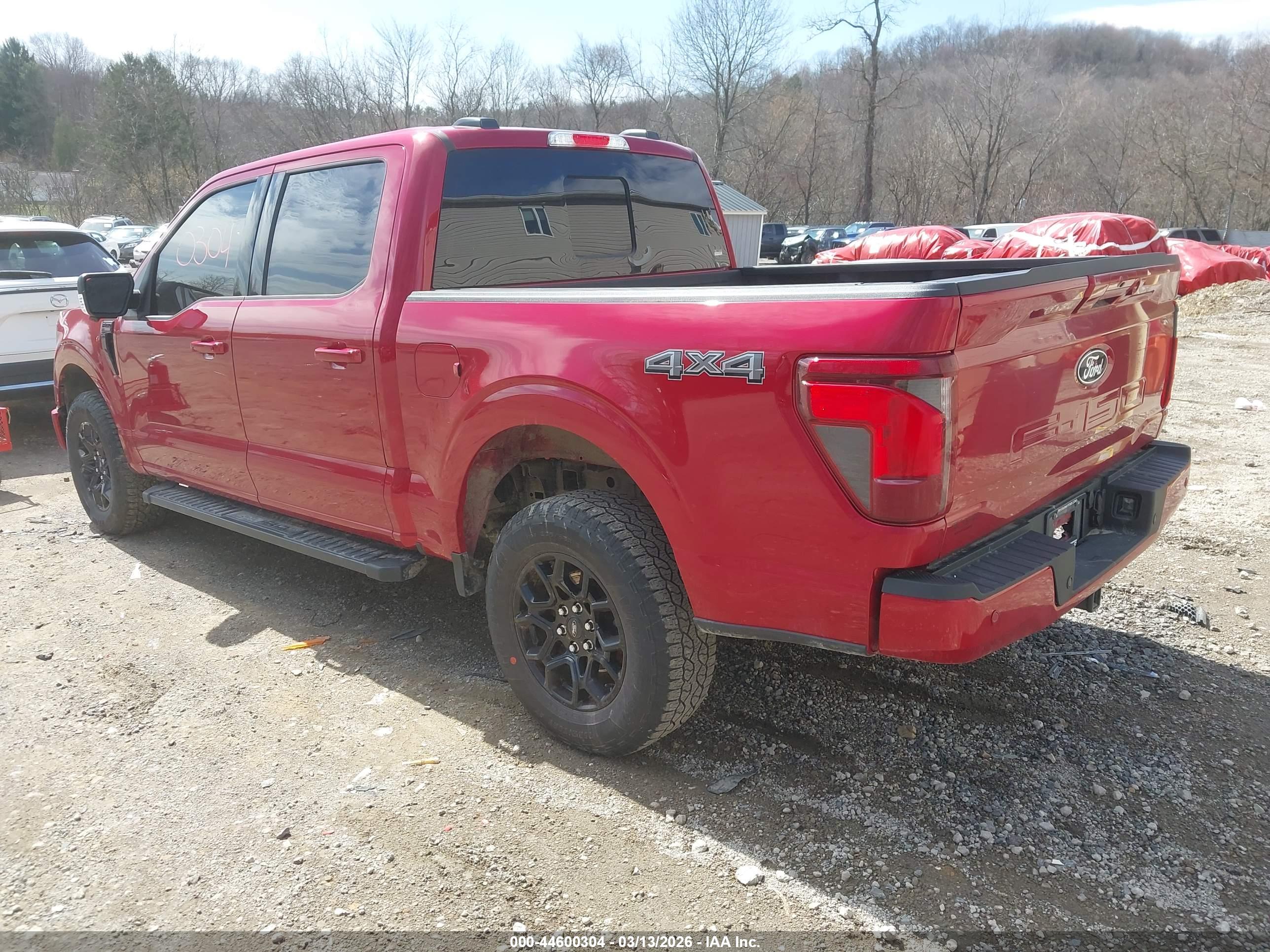 FORD F-150 image 3