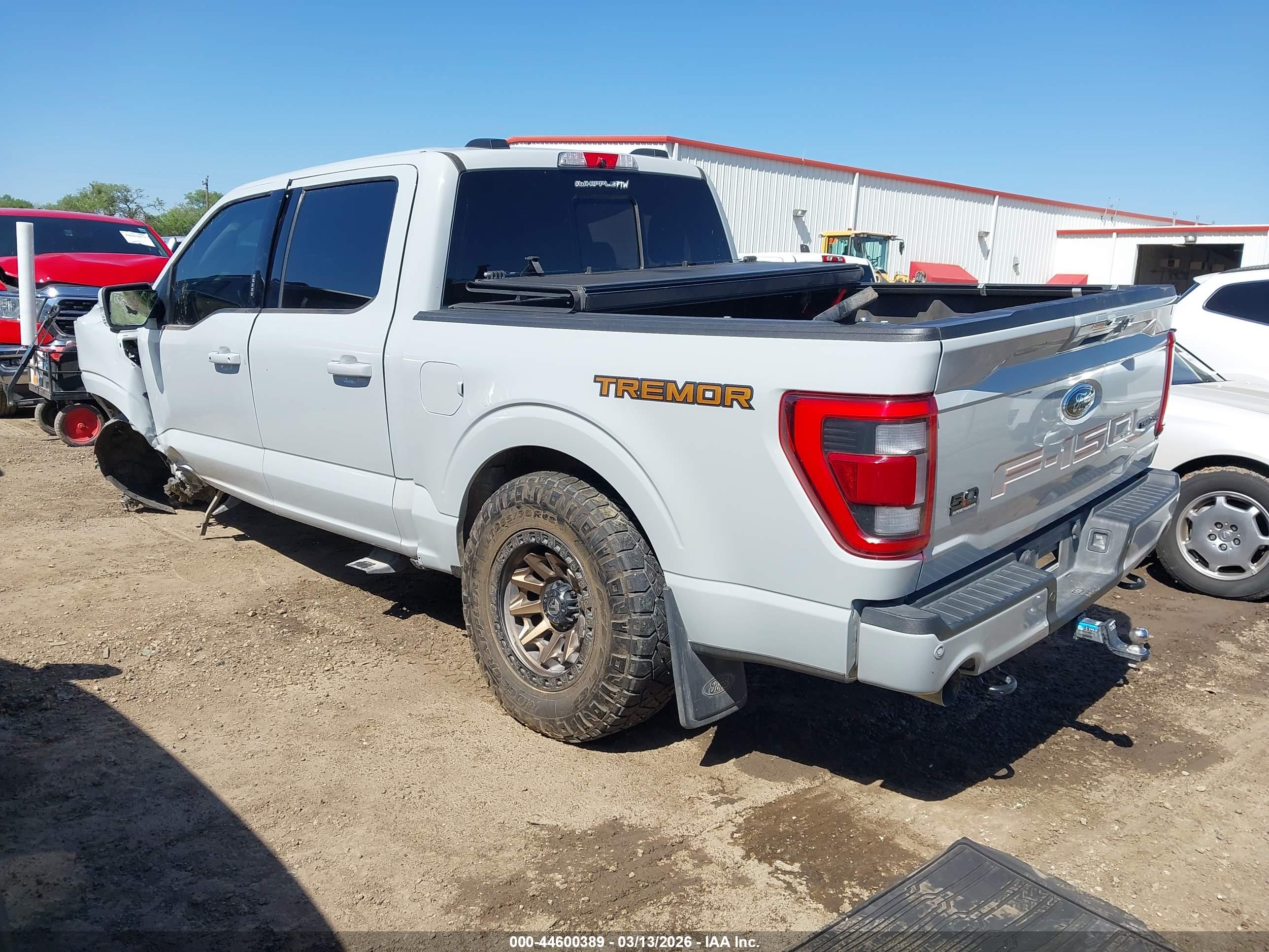 FORD F-150 image 3