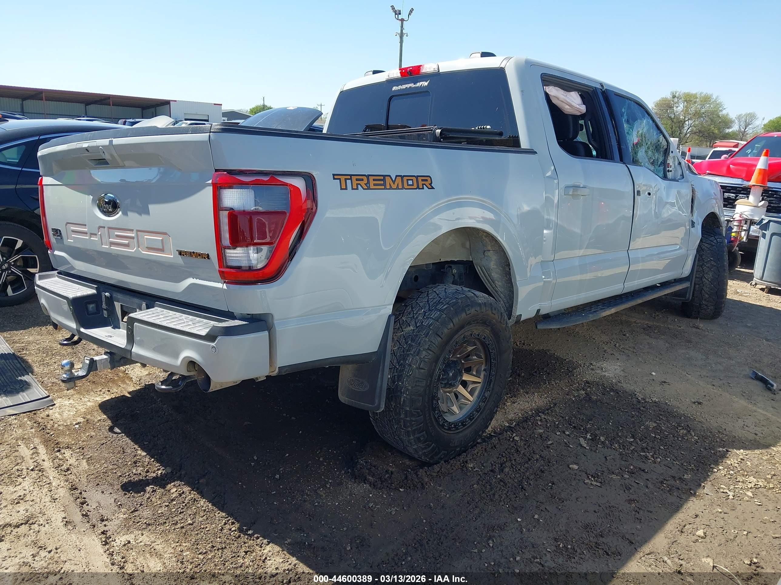 FORD F-150 image 4