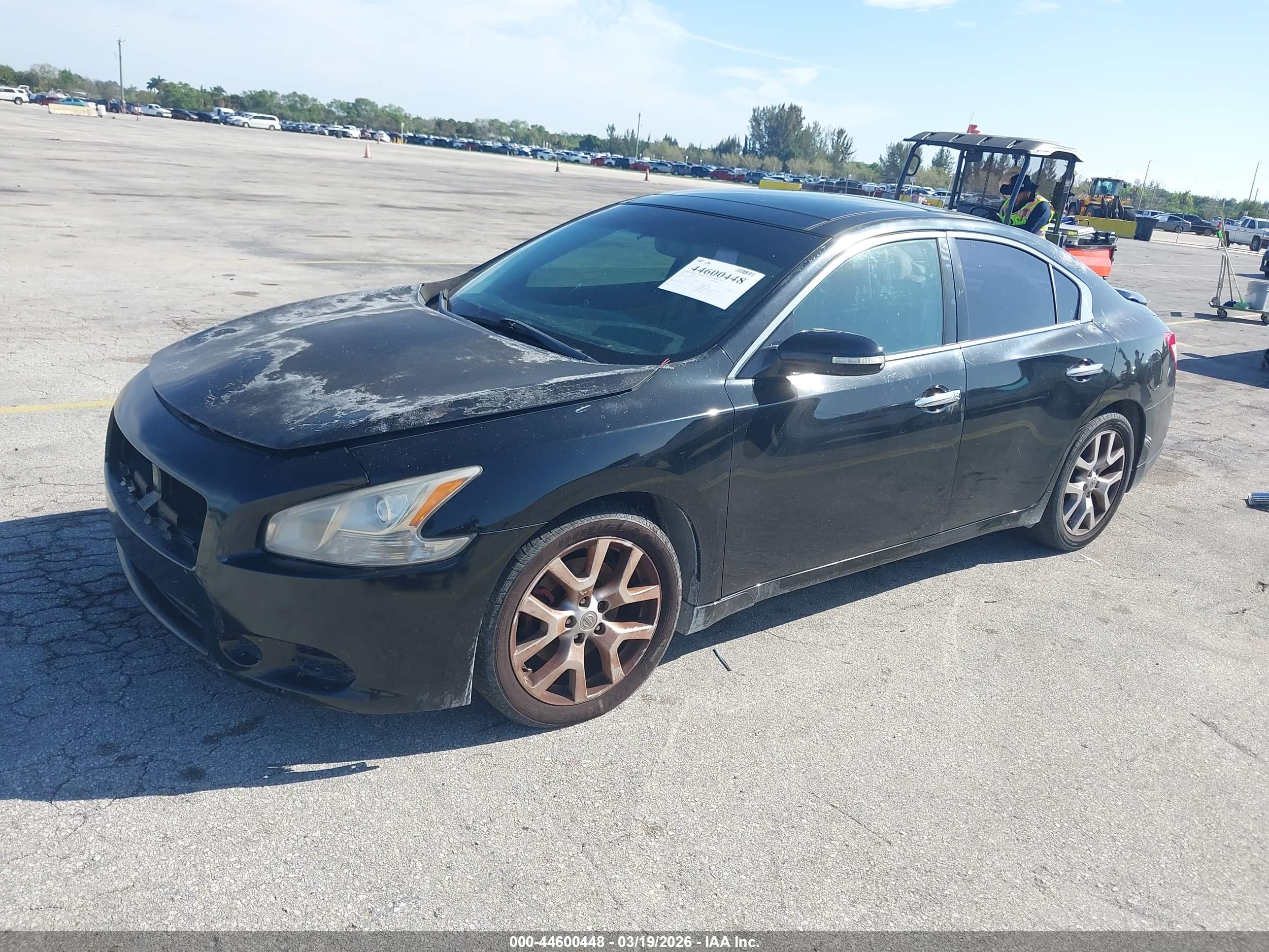 NISSAN MAXIMA image 2