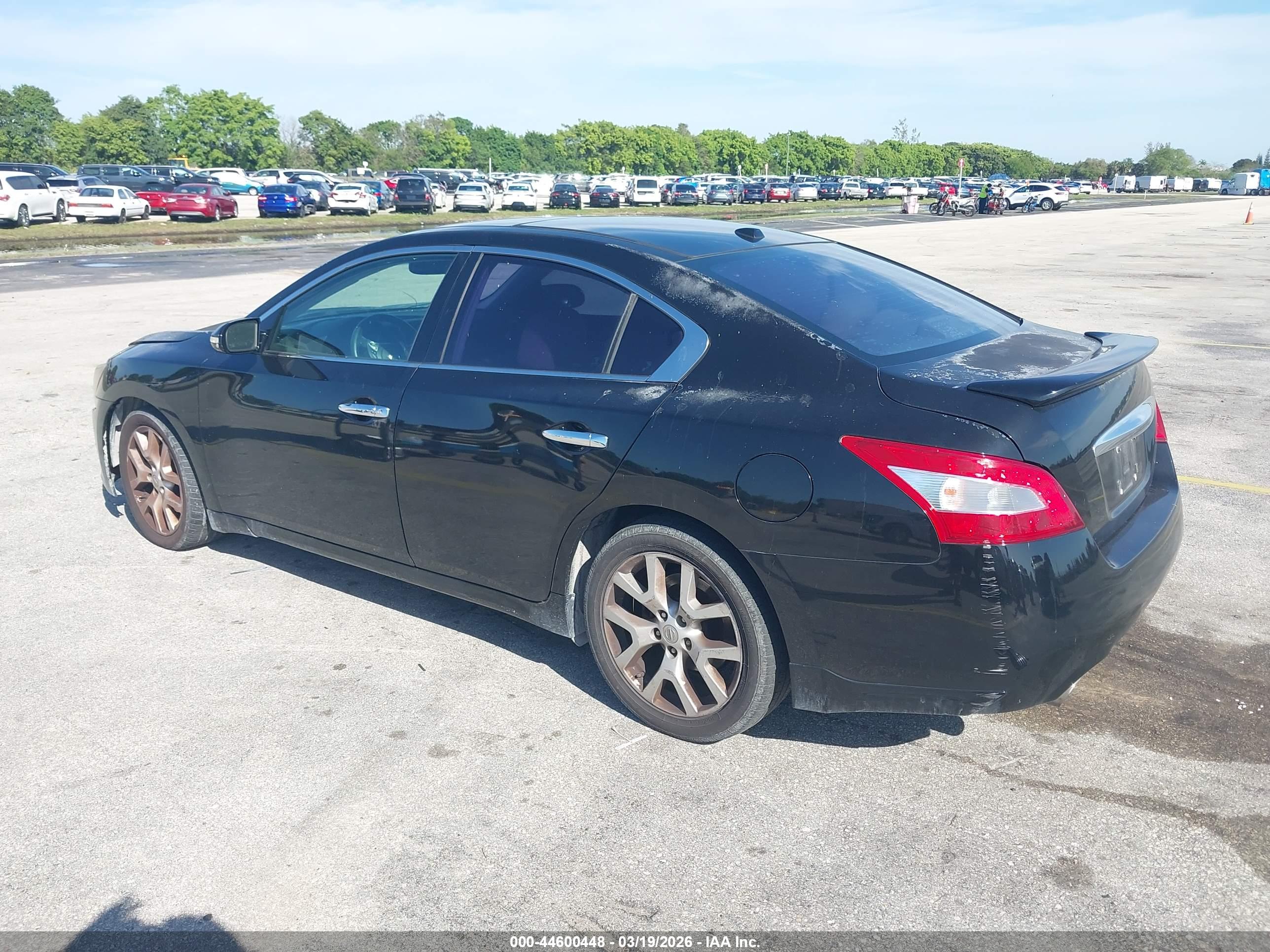 NISSAN MAXIMA image 3