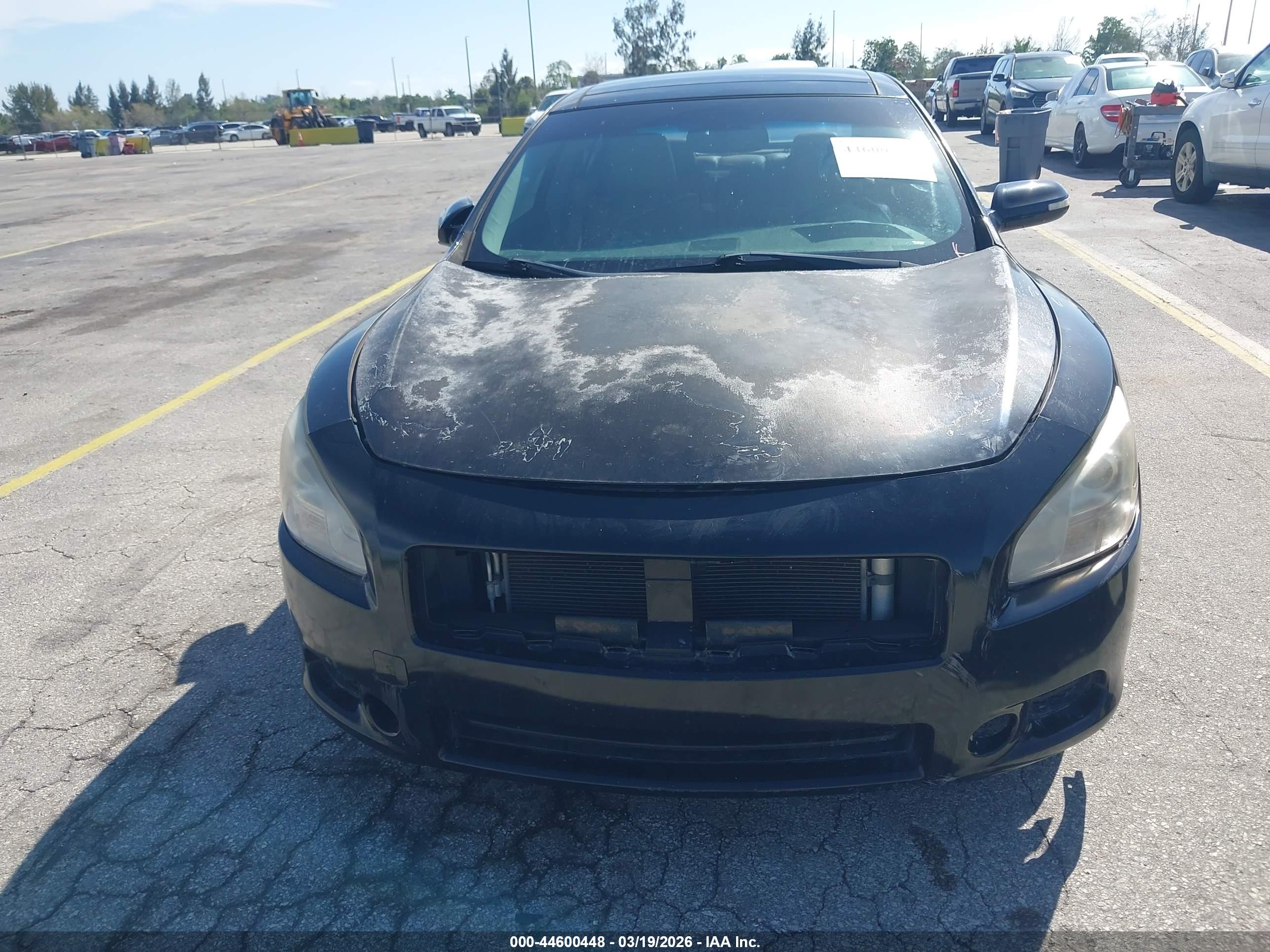 NISSAN MAXIMA image 6
