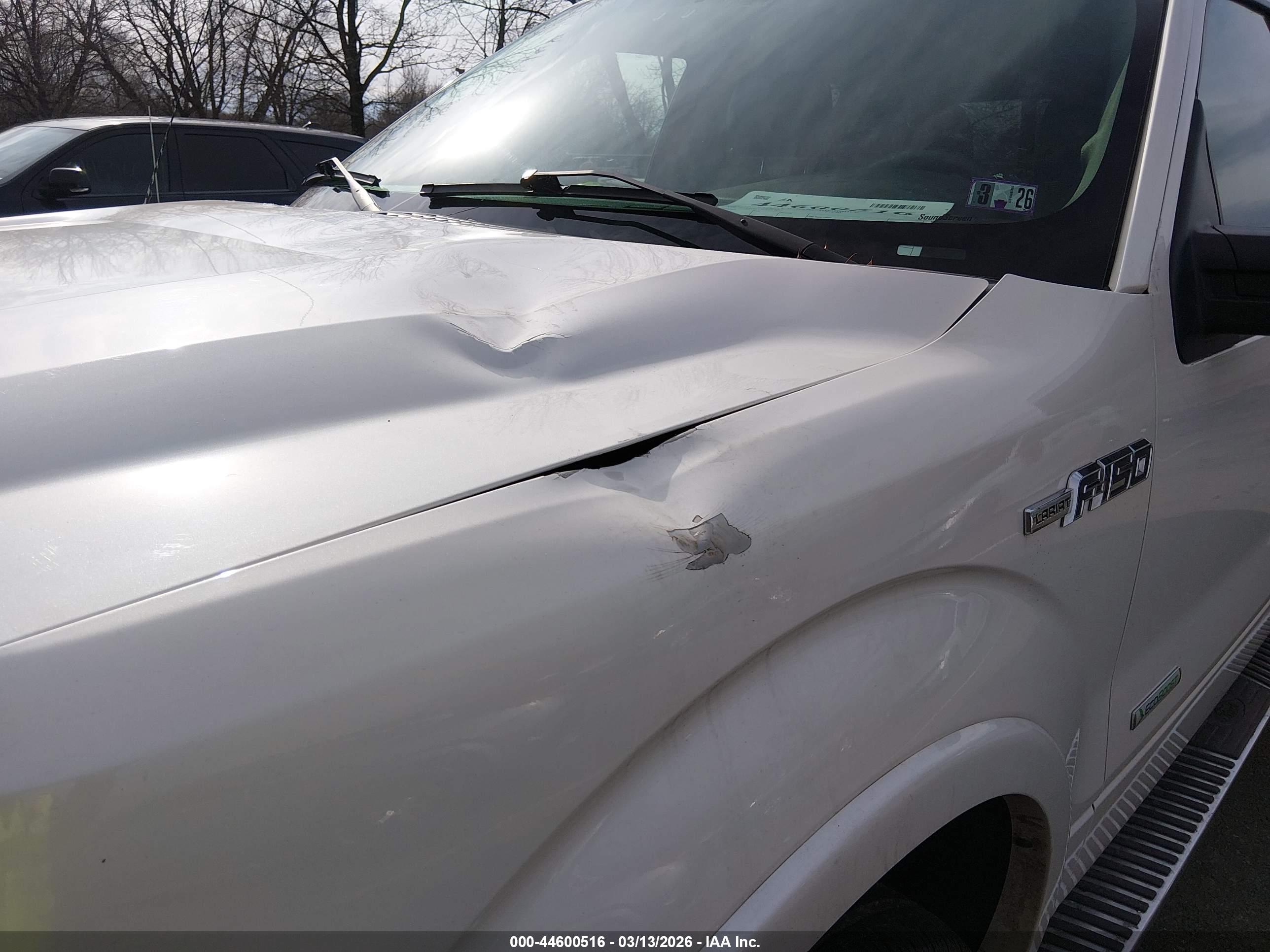 FORD F-150 image 6