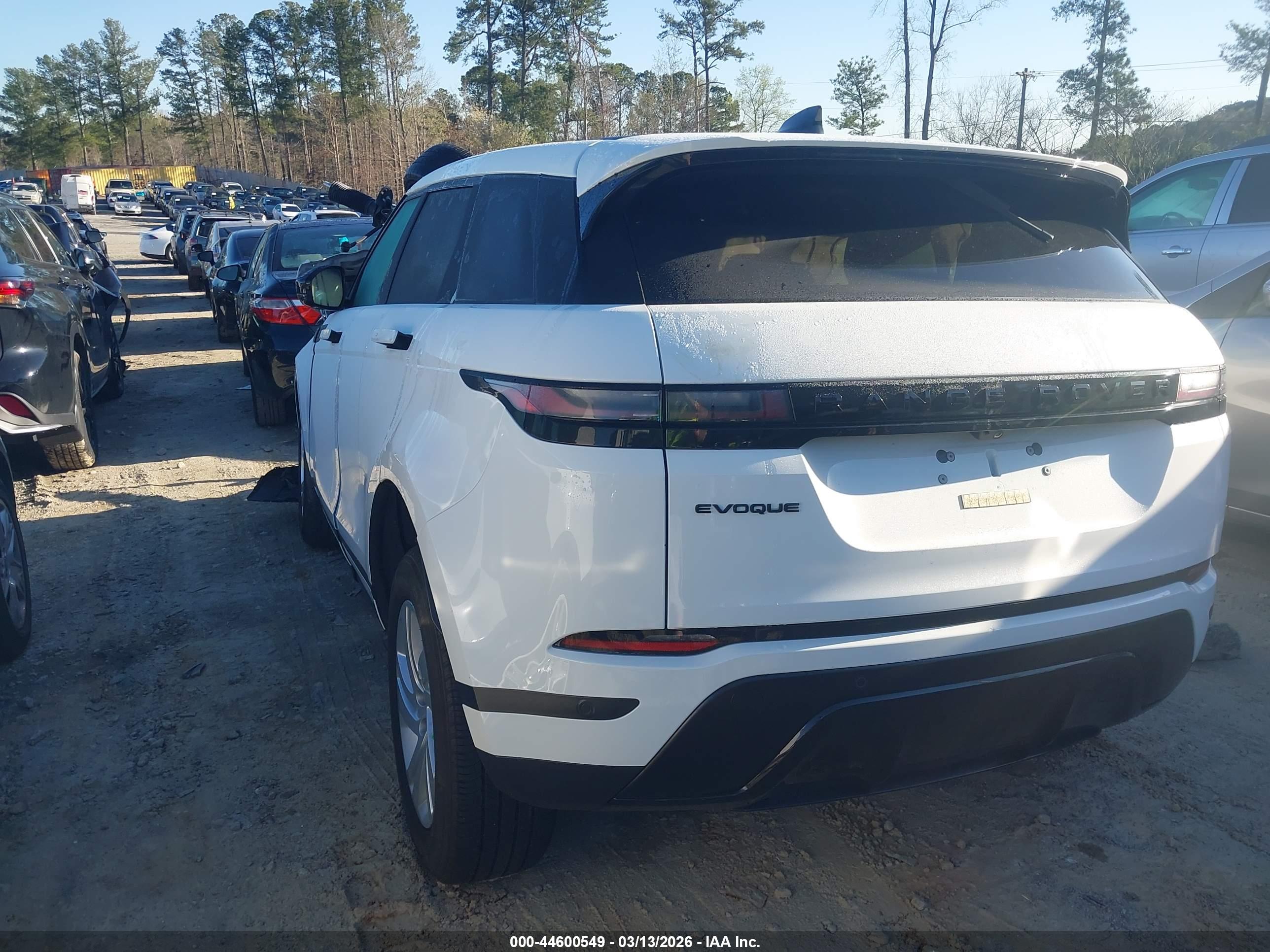 LAND ROVER image 3