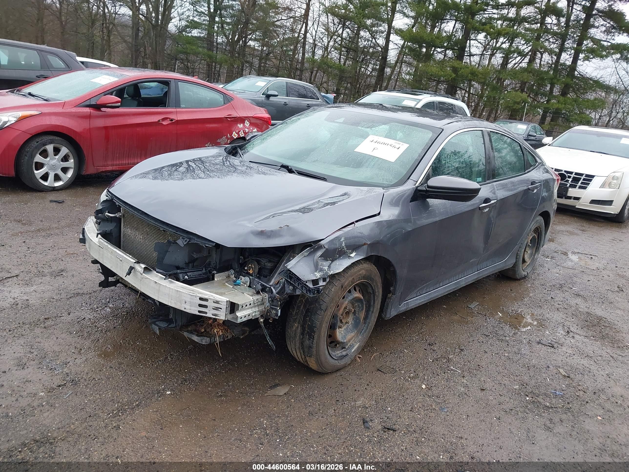 HONDA CIVIC image 2