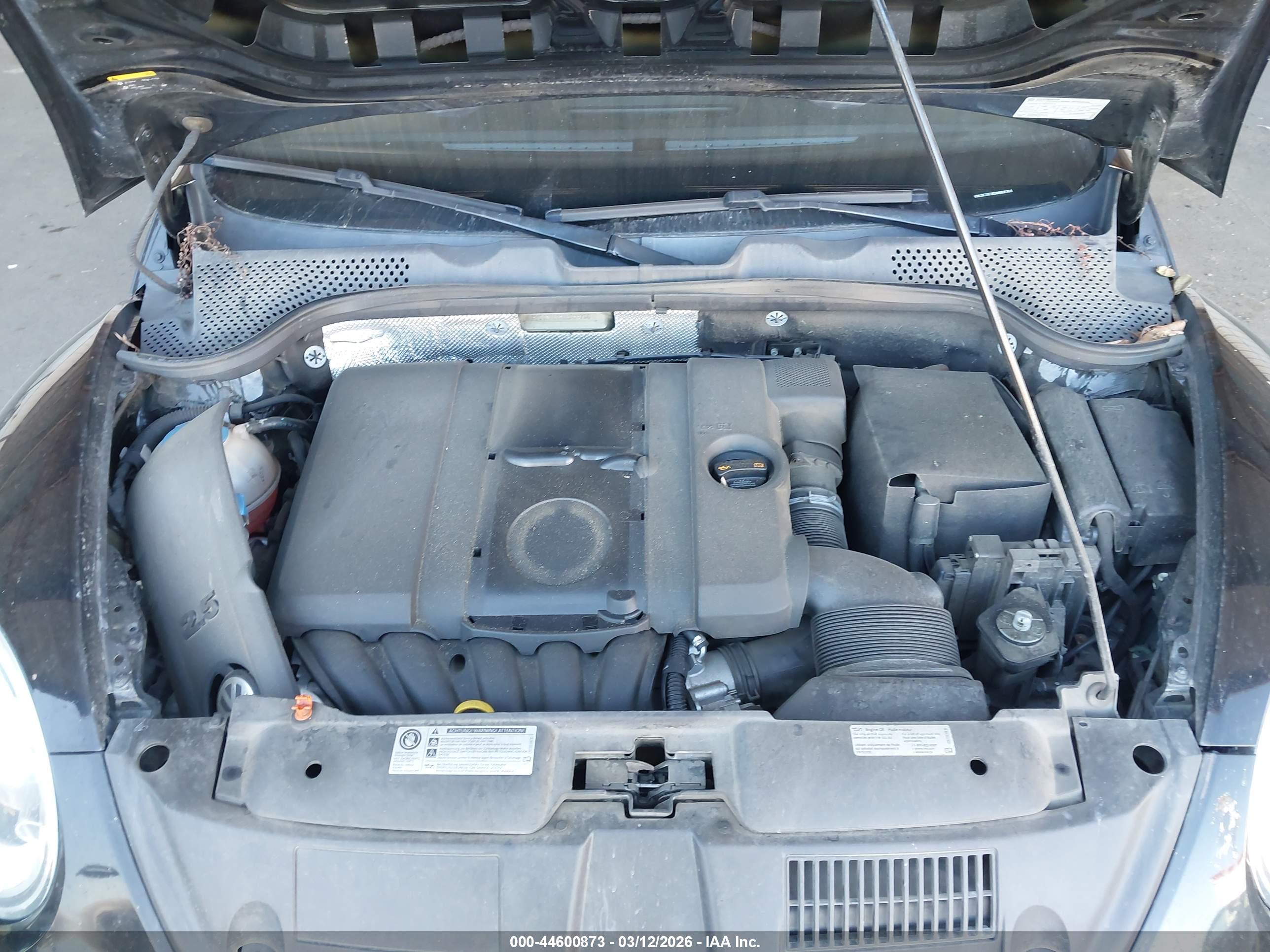 VOLKSWAGEN BEETLE image 10