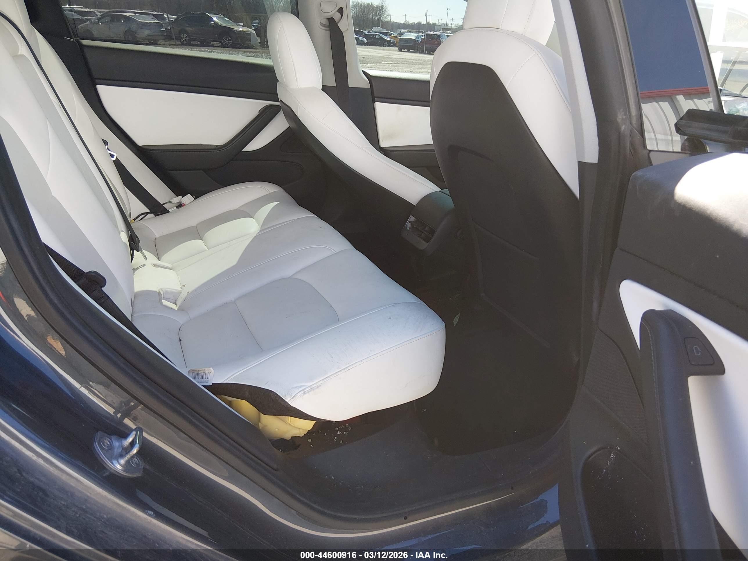 TESLA MODEL image 8