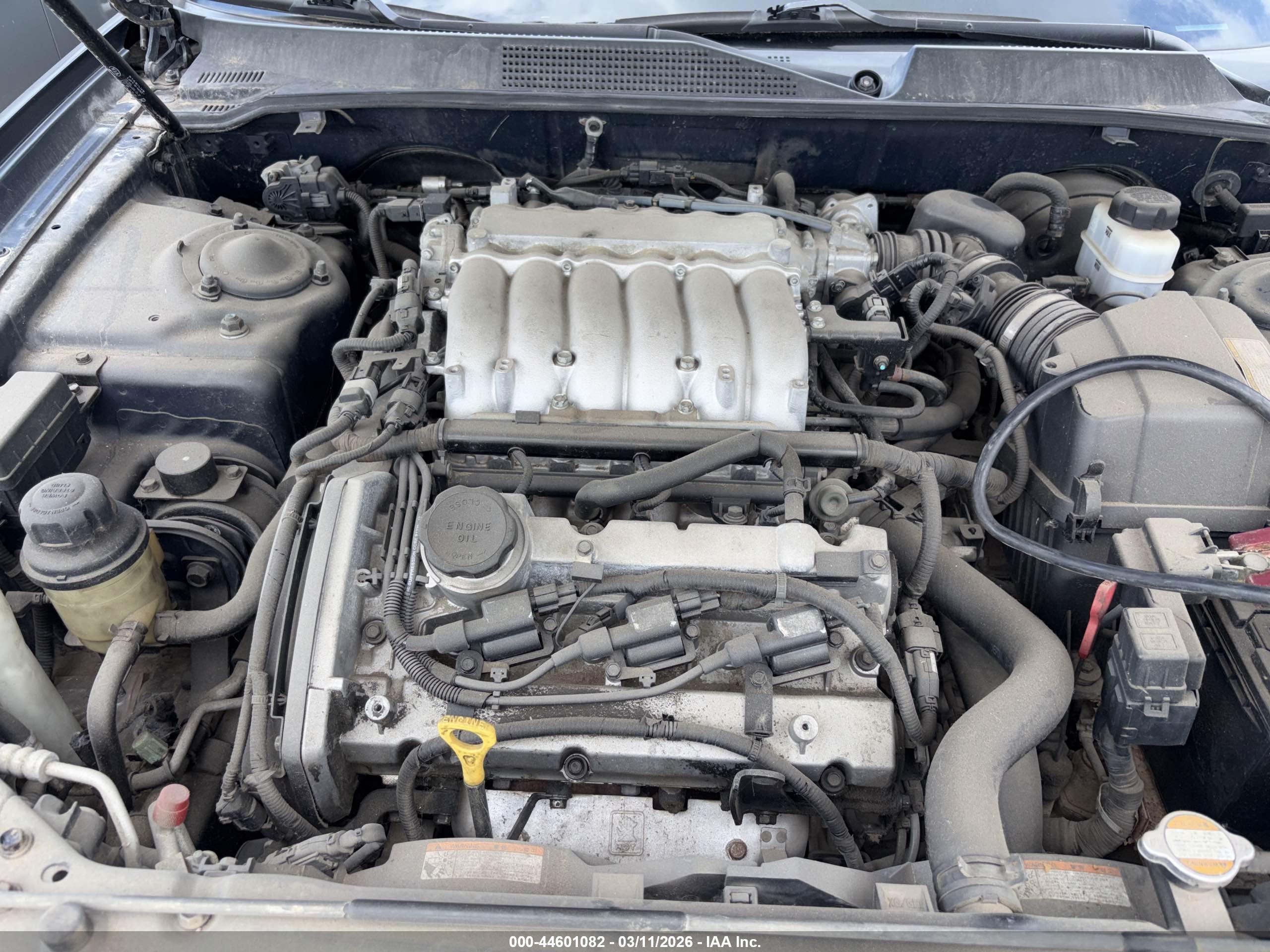 KIA AMANTI image 10