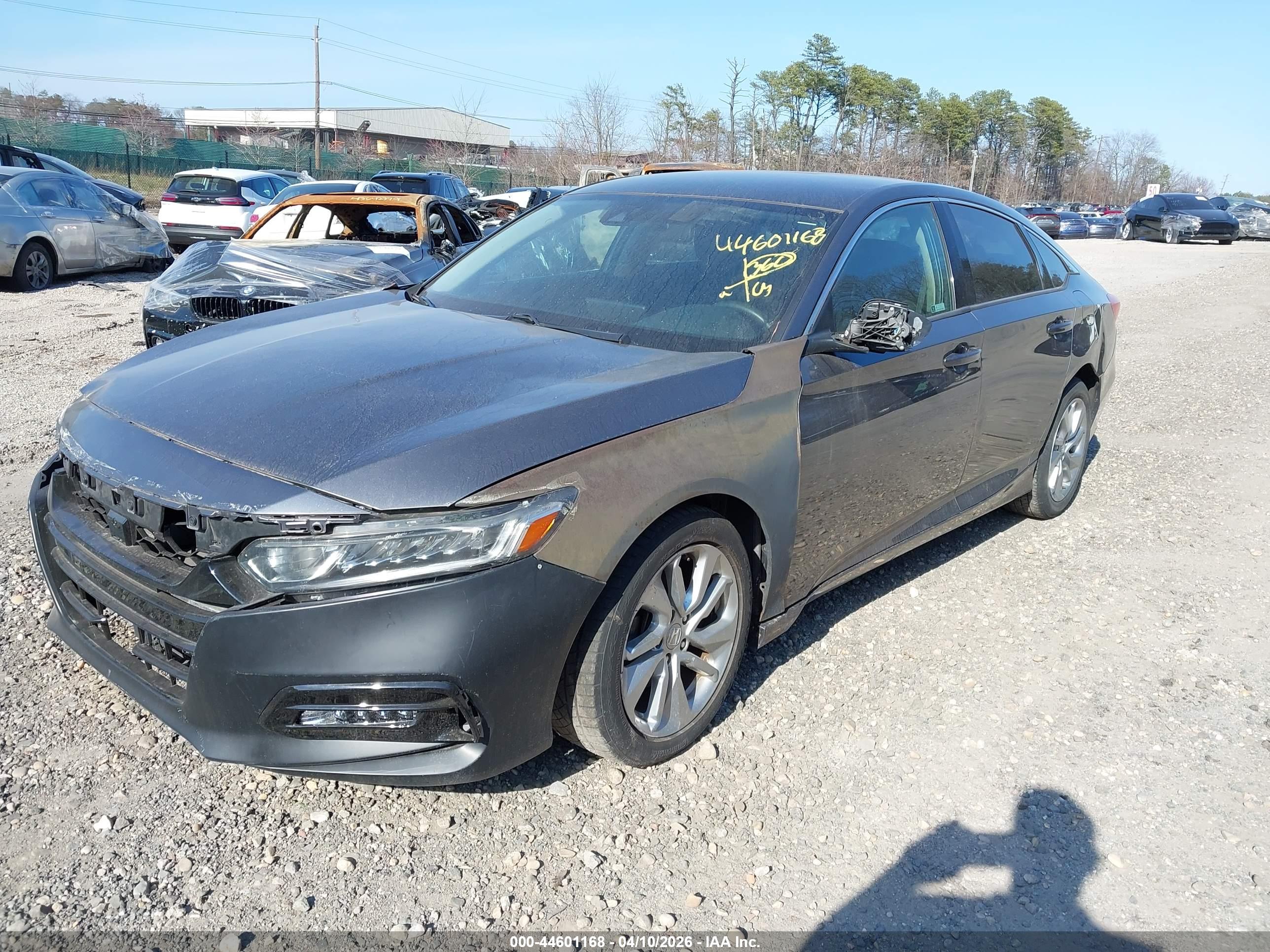 HONDA ACCORD image 2