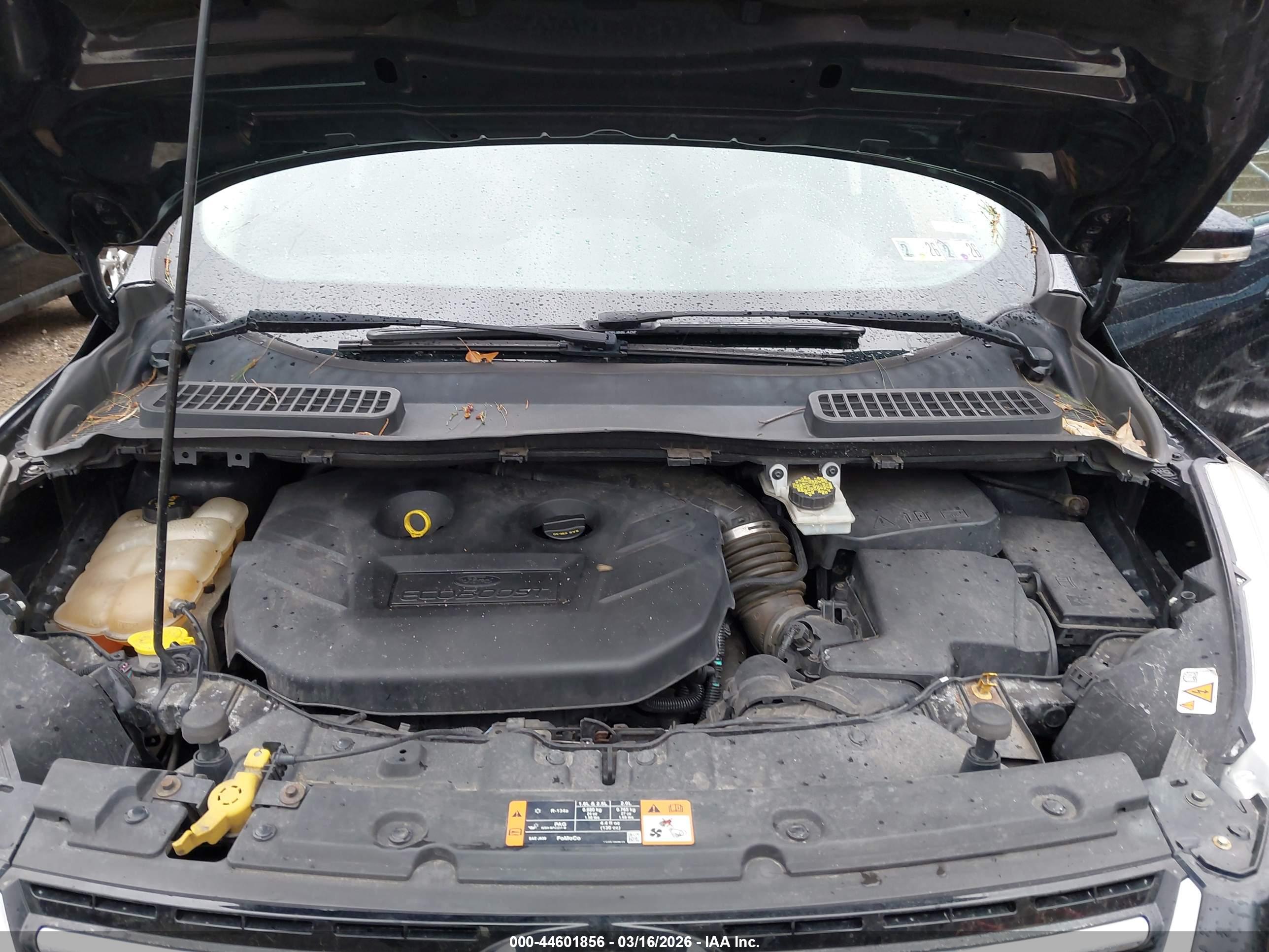 FORD ESCAPE image 10