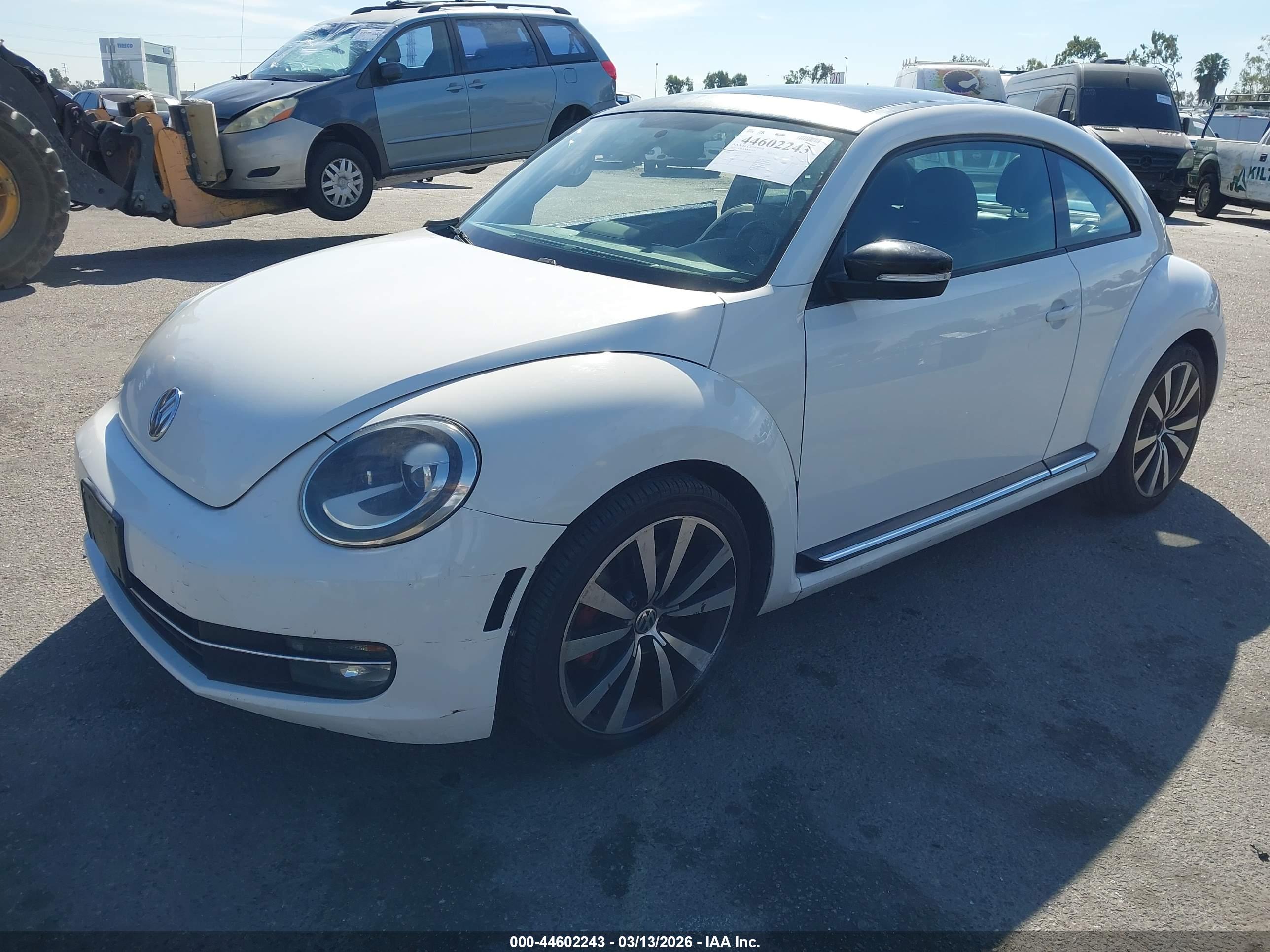 VOLKSWAGEN BEETLE image 2