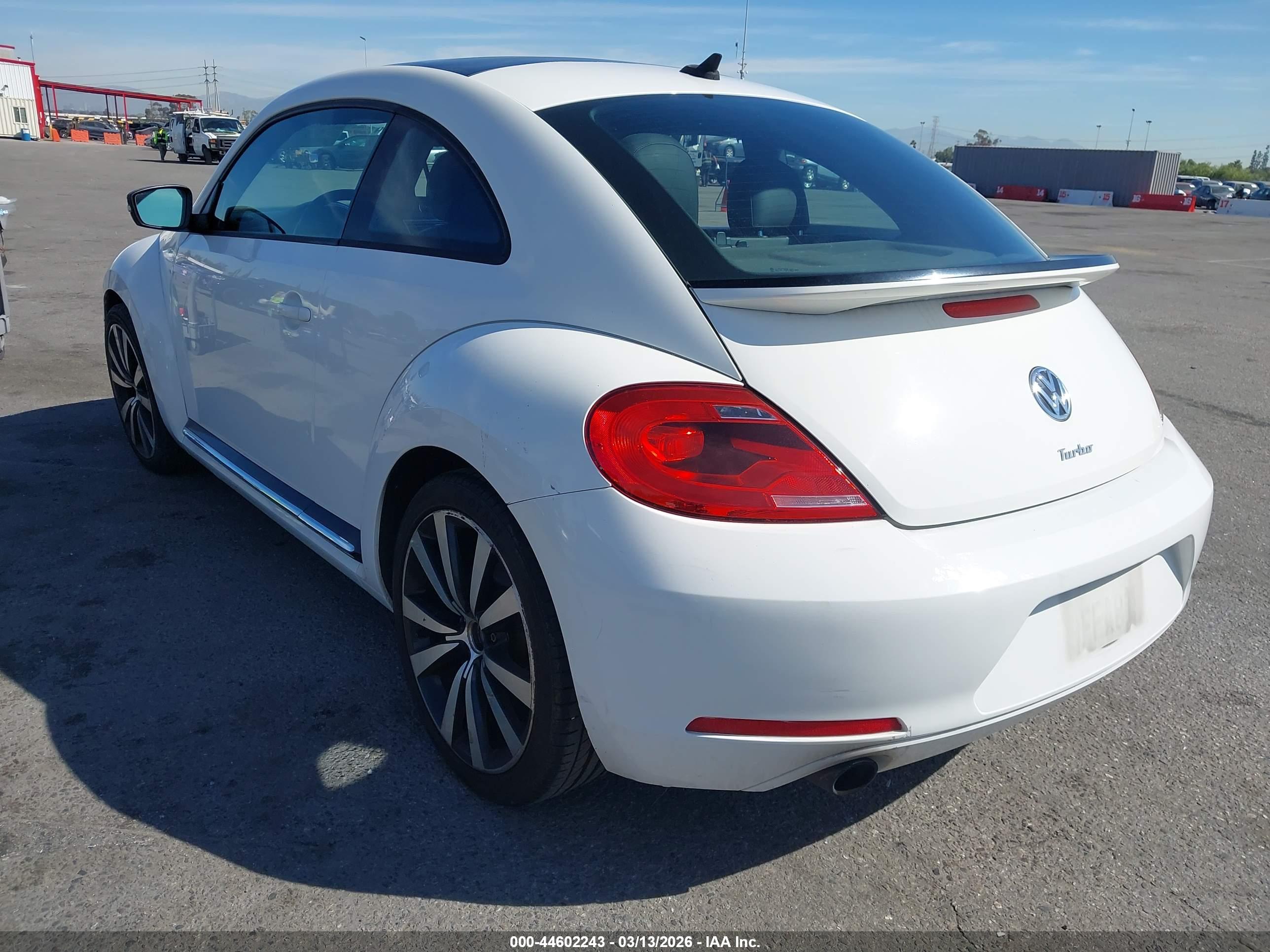 VOLKSWAGEN BEETLE image 3