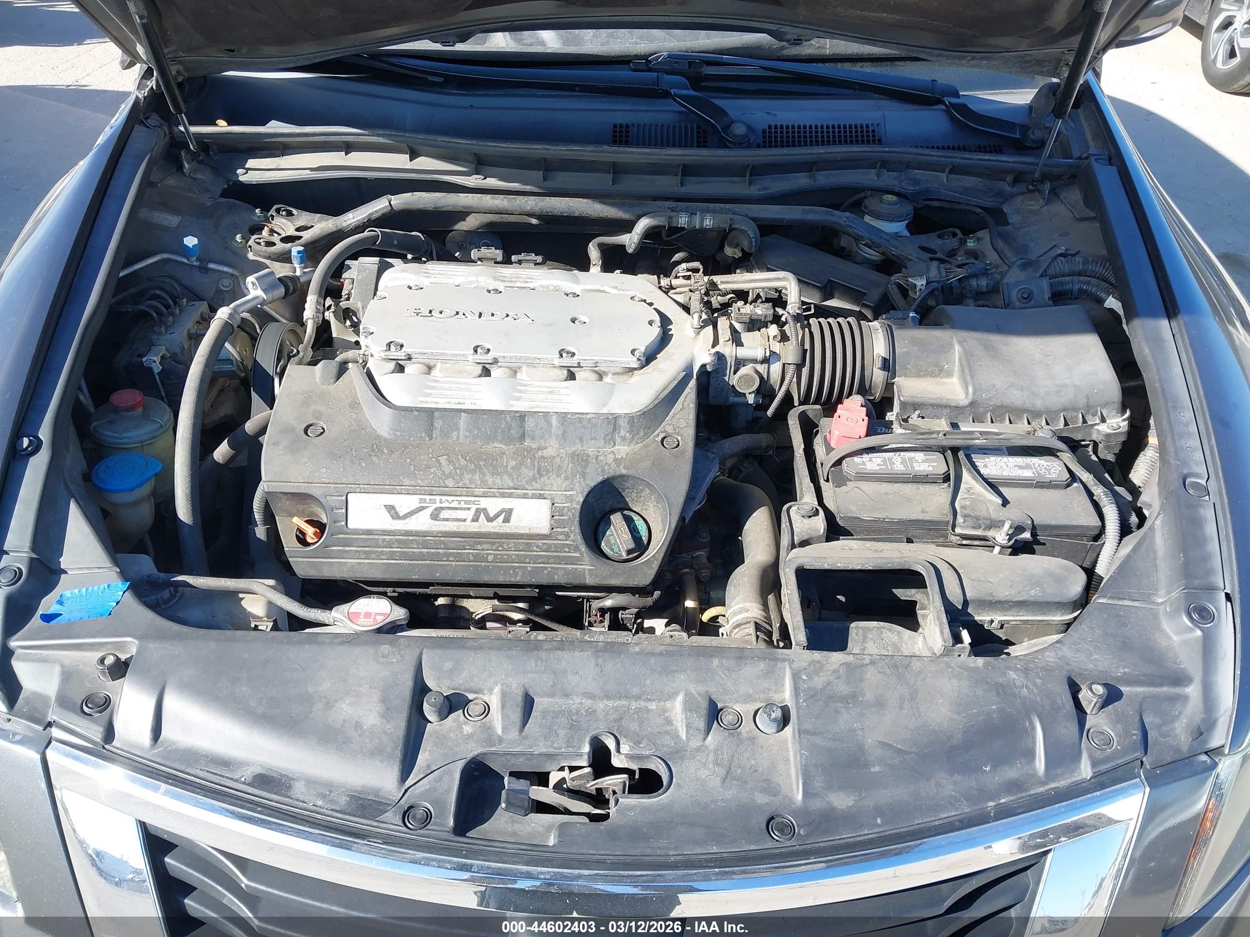 HONDA ACCORD image 10