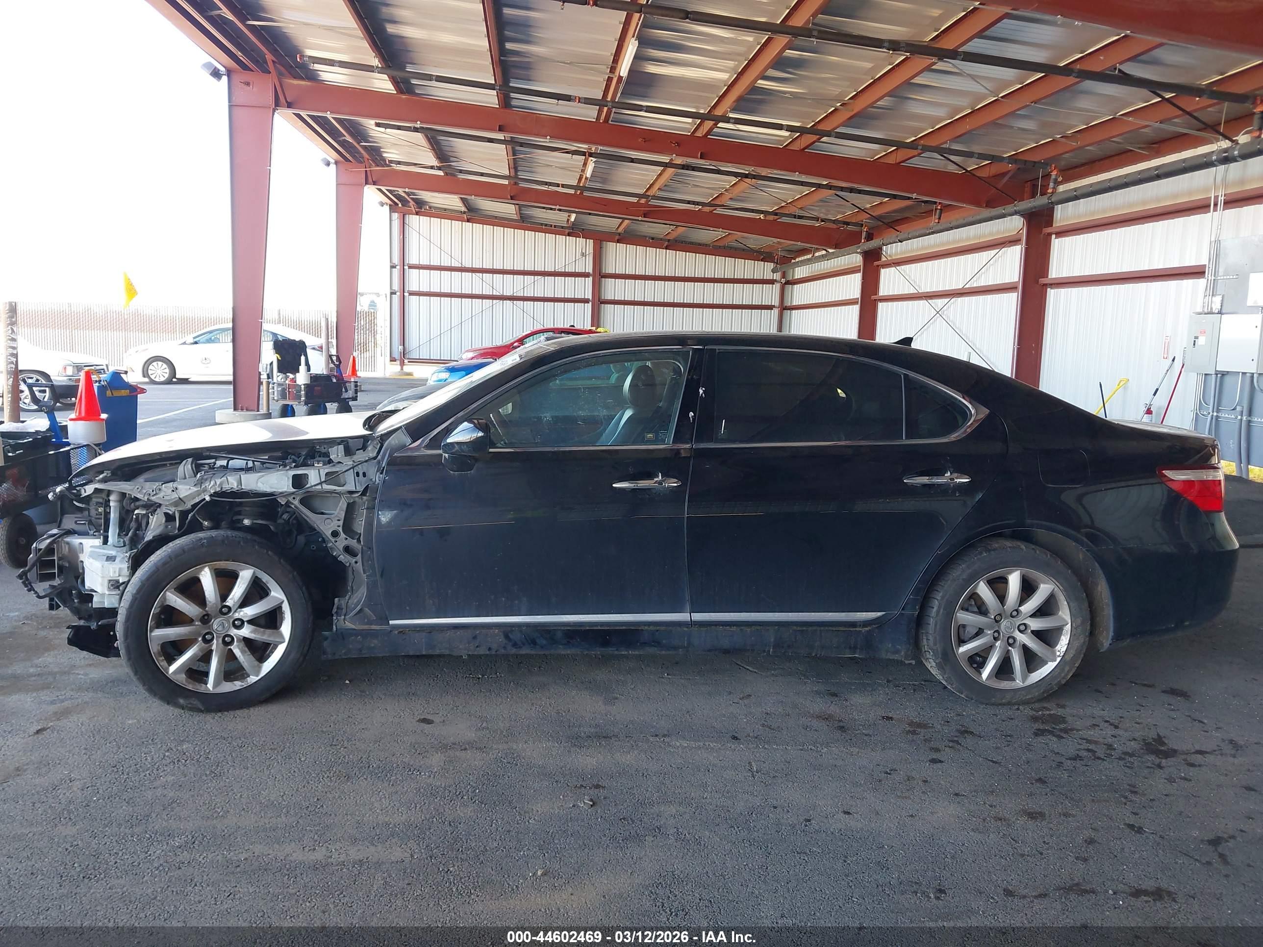 LEXUS LS image 6