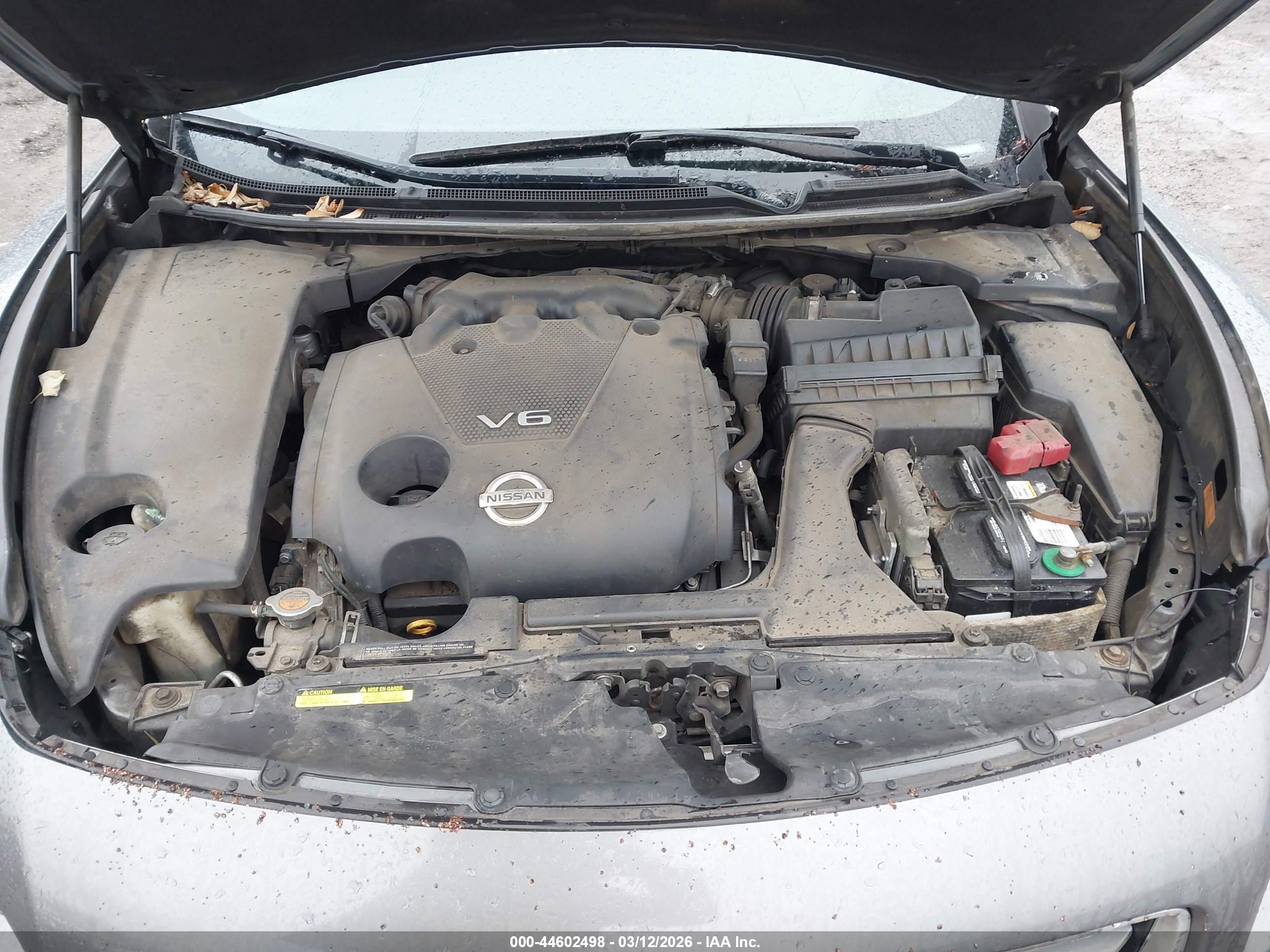 NISSAN MAXIMA image 10